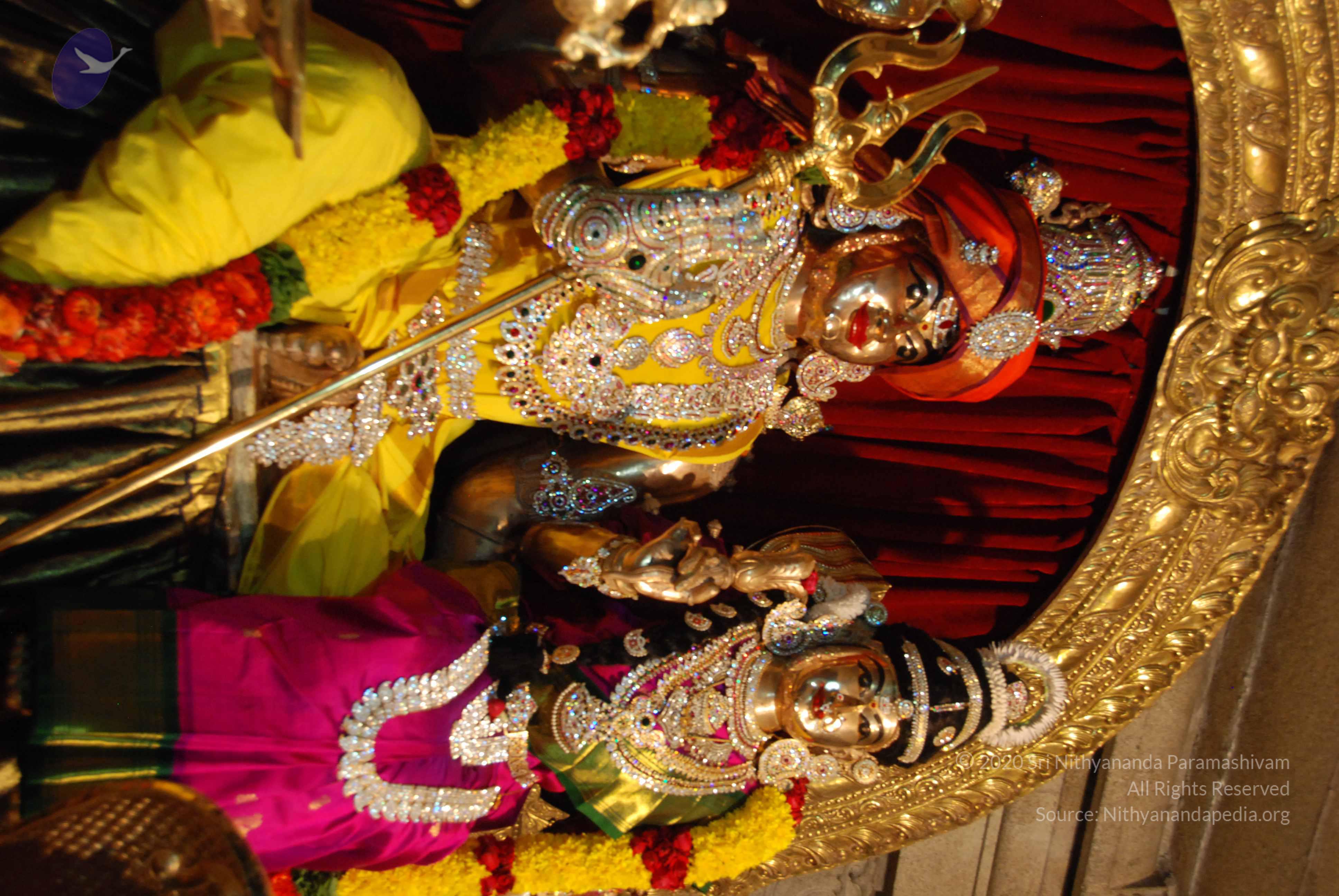 20170720_Photo_1073_DSC_4630_CMP_WM