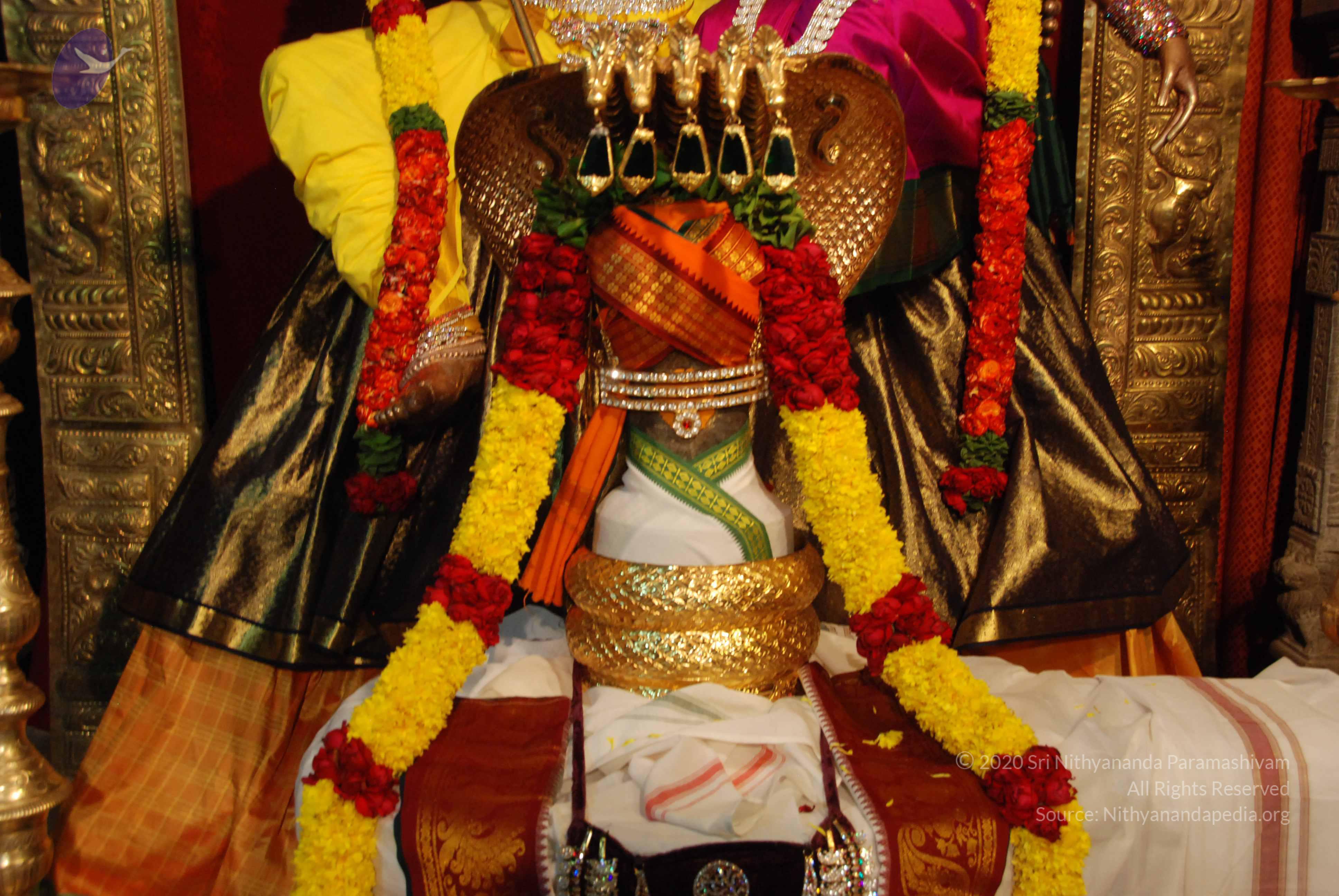 20170720_Photo_1074_DSC_4665_CMP_WM