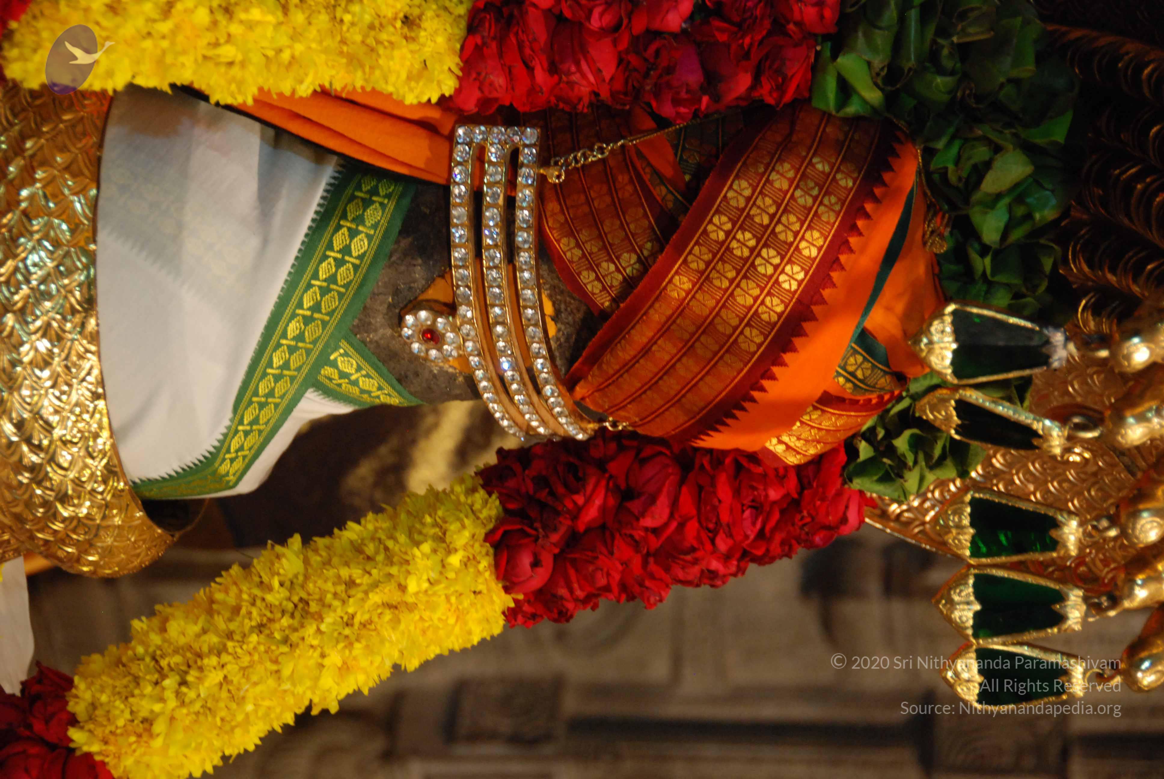 20170720_Photo_1075_DSC_4686_CMP_WM