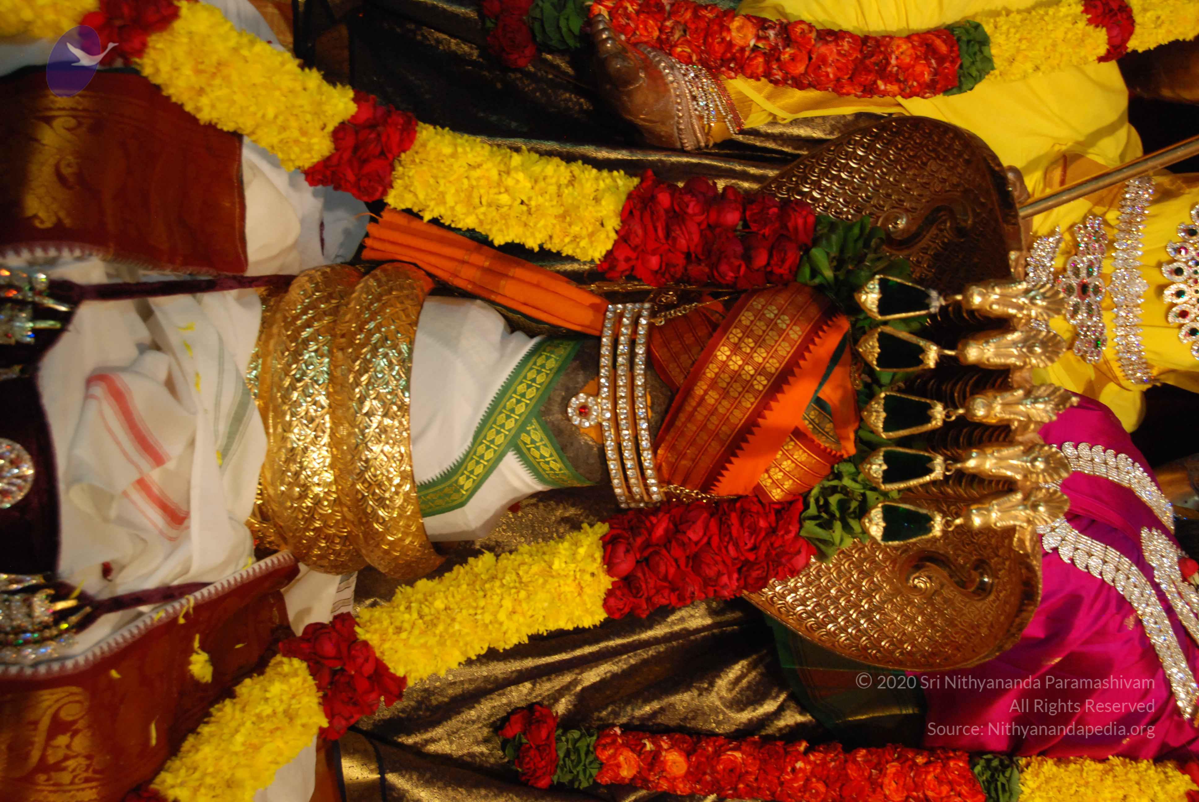 20170720_Photo_1078_DSC_4660_CMP_WM