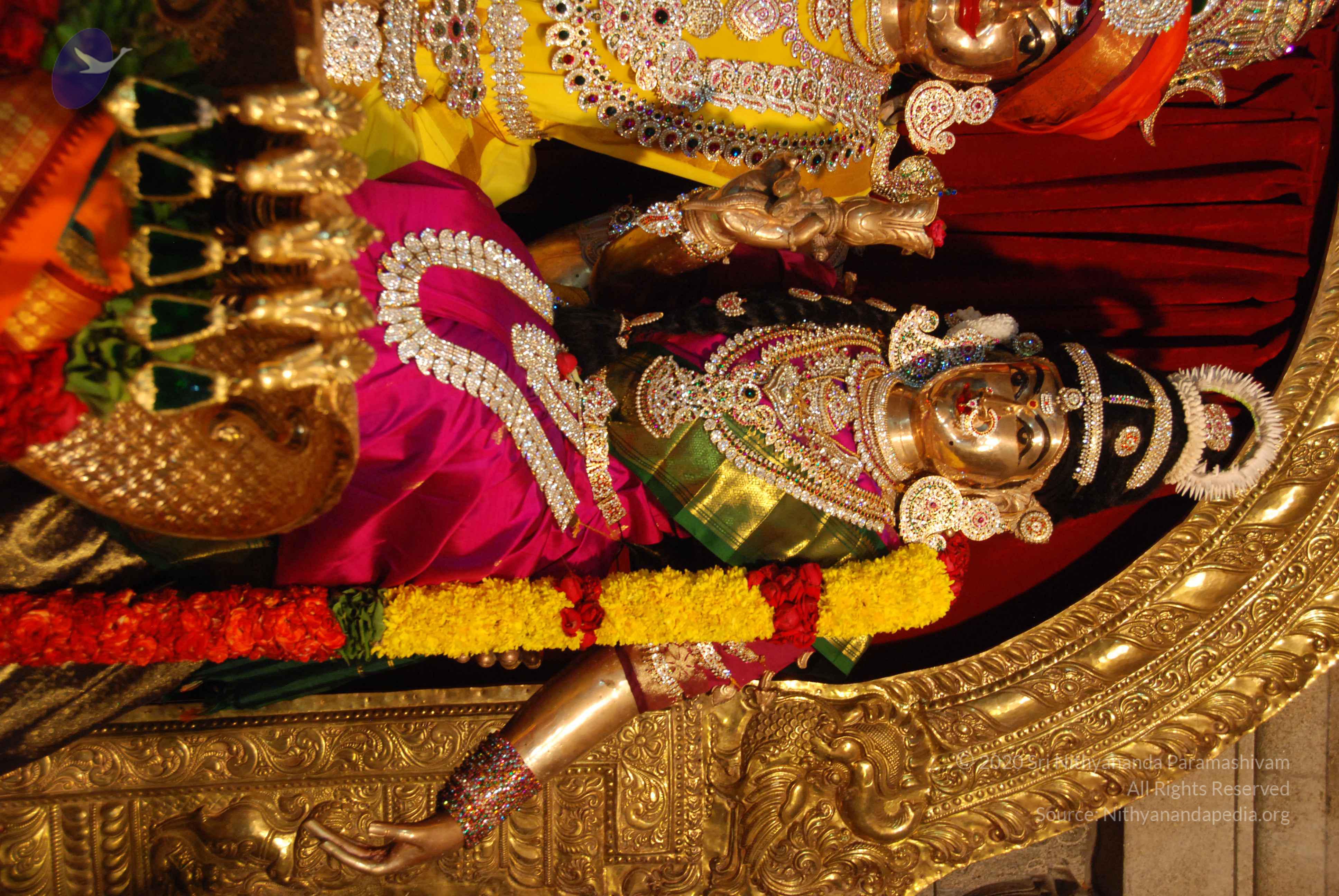 20170720_Photo_1079_DSC_4657_CMP_WM