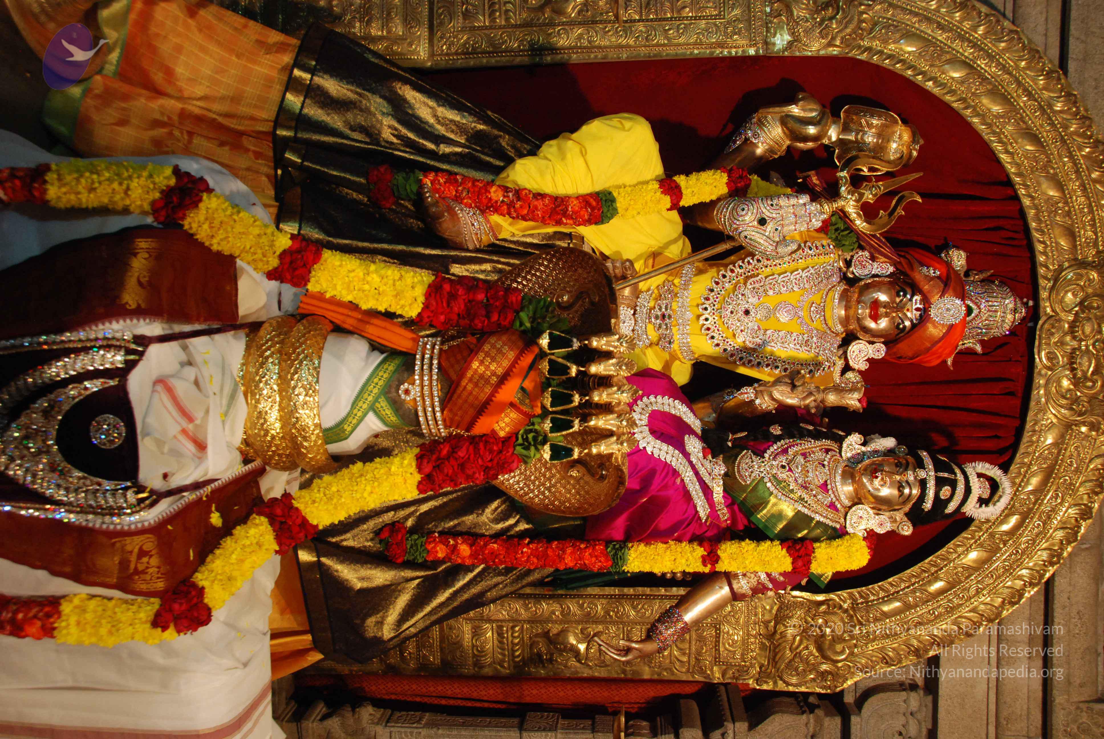 20170720_Photo_1083_DSC_4638_CMP_WM