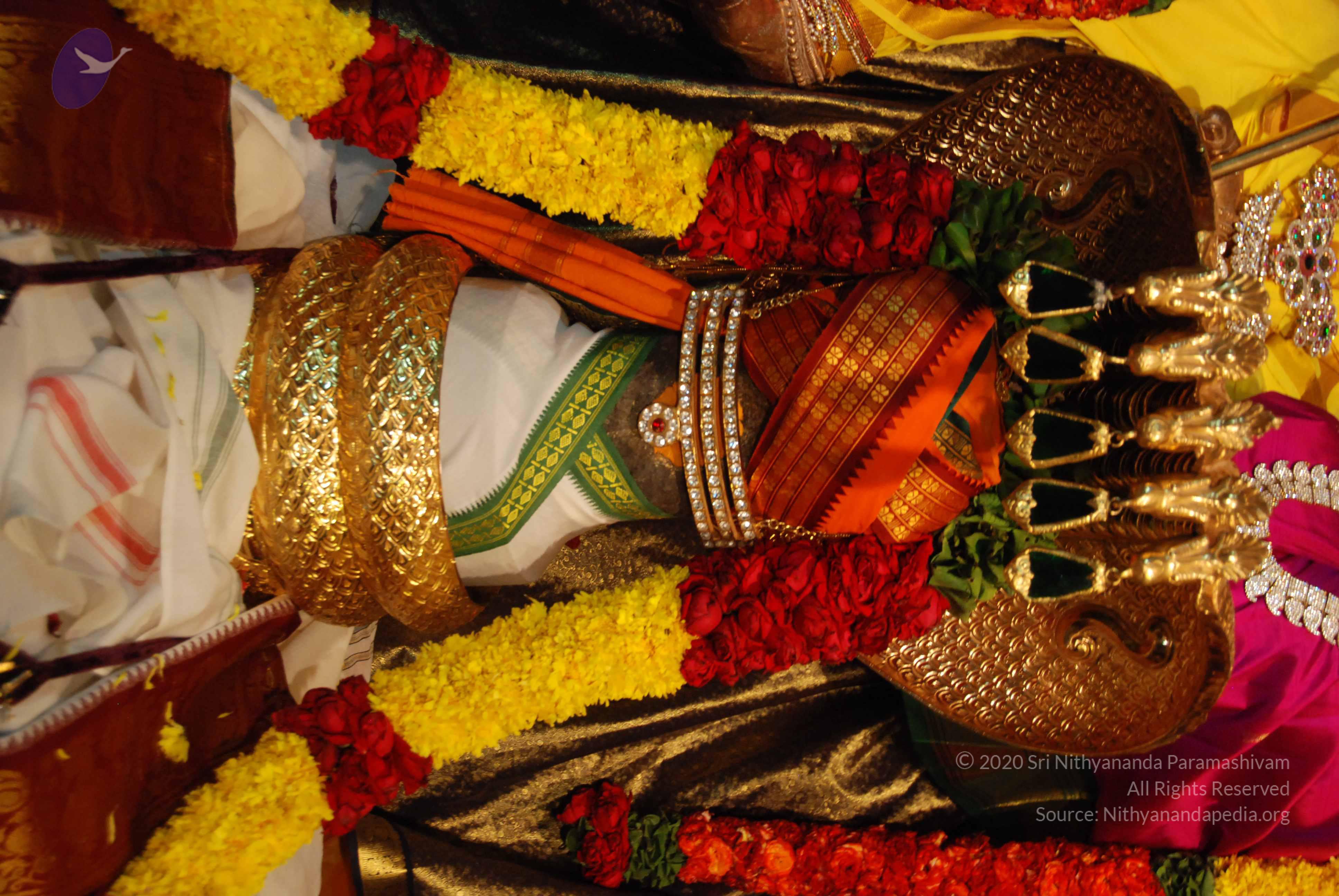 20170720_Photo_1085_DSC_4671_CMP_WM