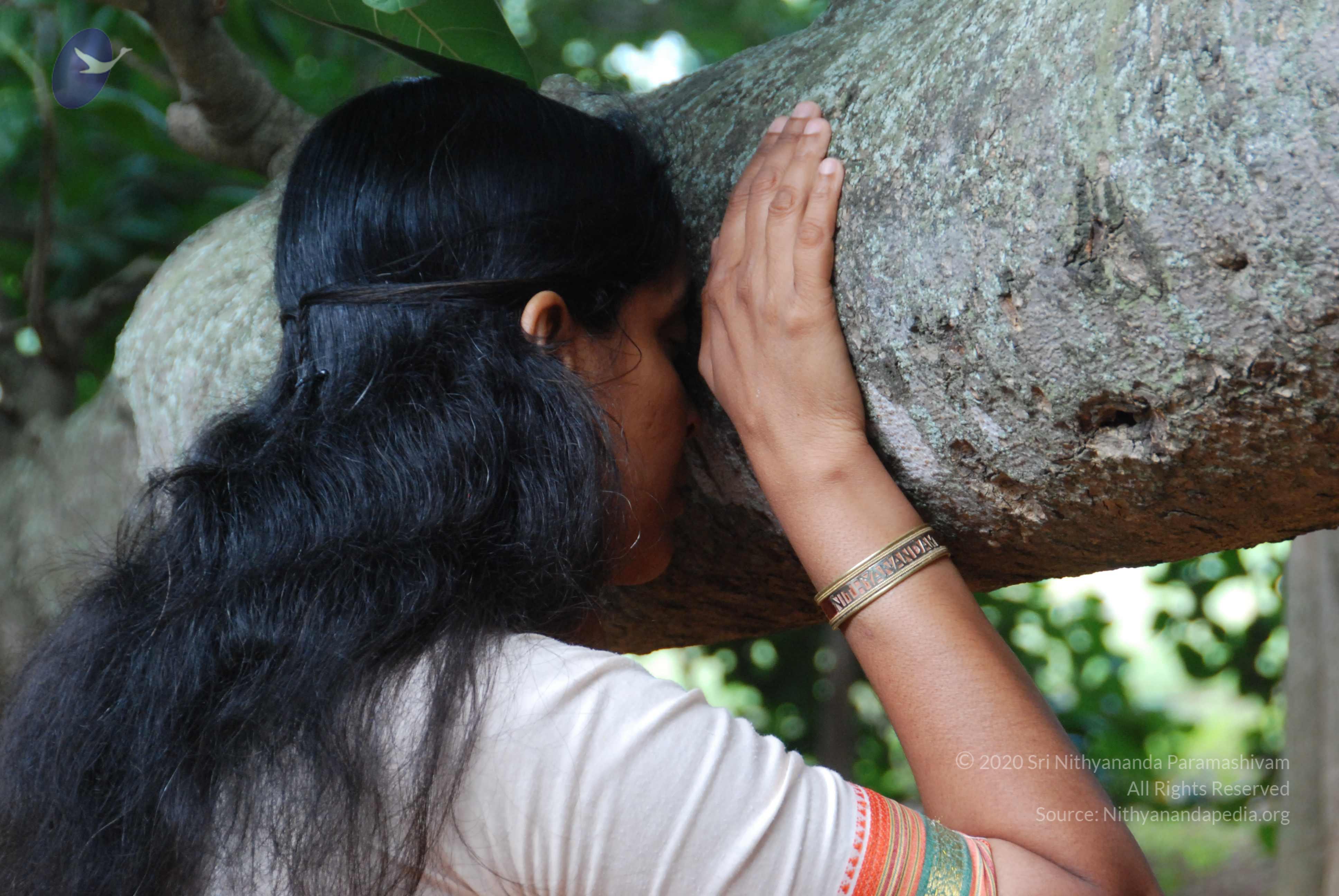 20170720_Photo_1000_DSC_4230_CMP_WM