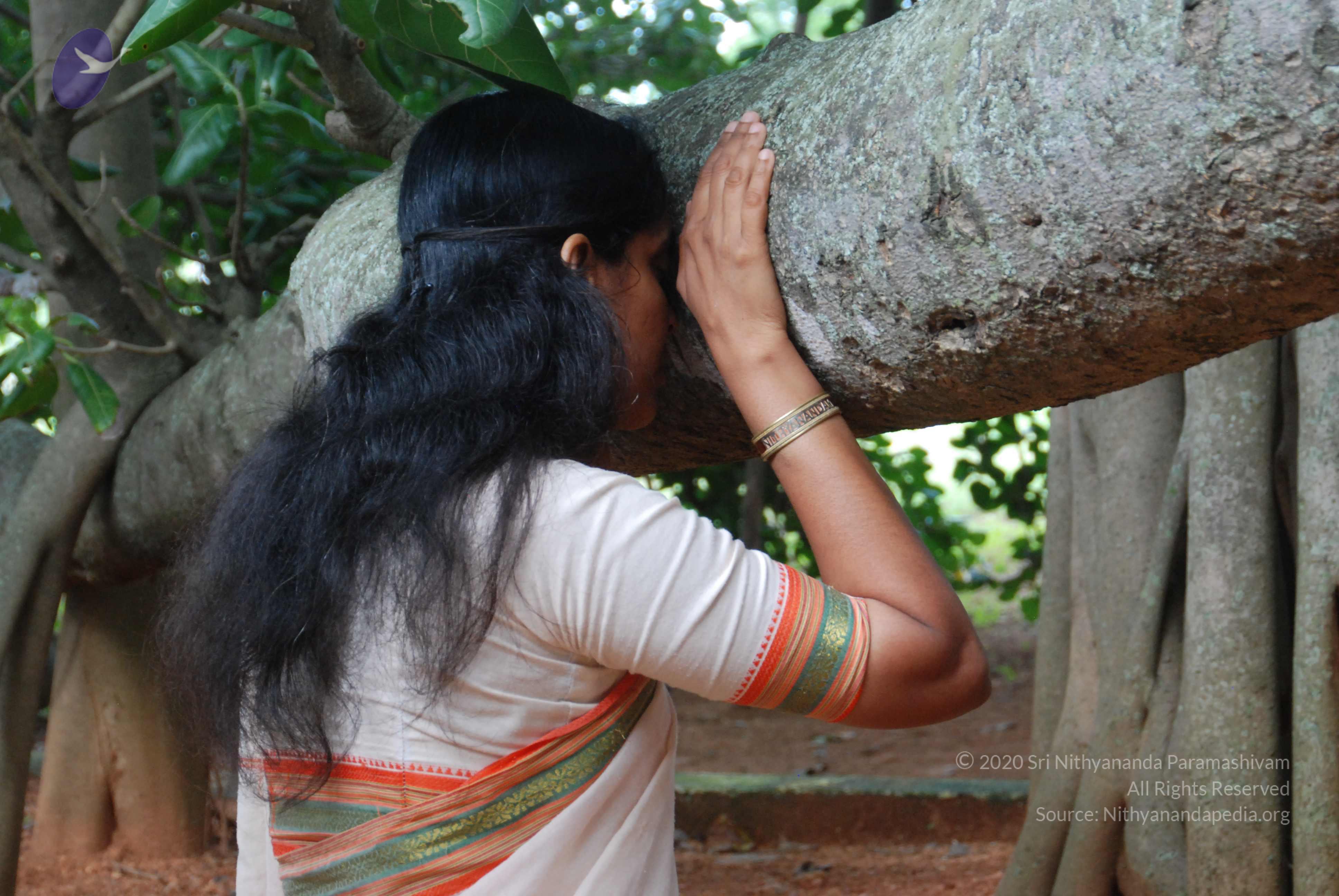 20170720_Photo_1001_DSC_4229_CMP_WM