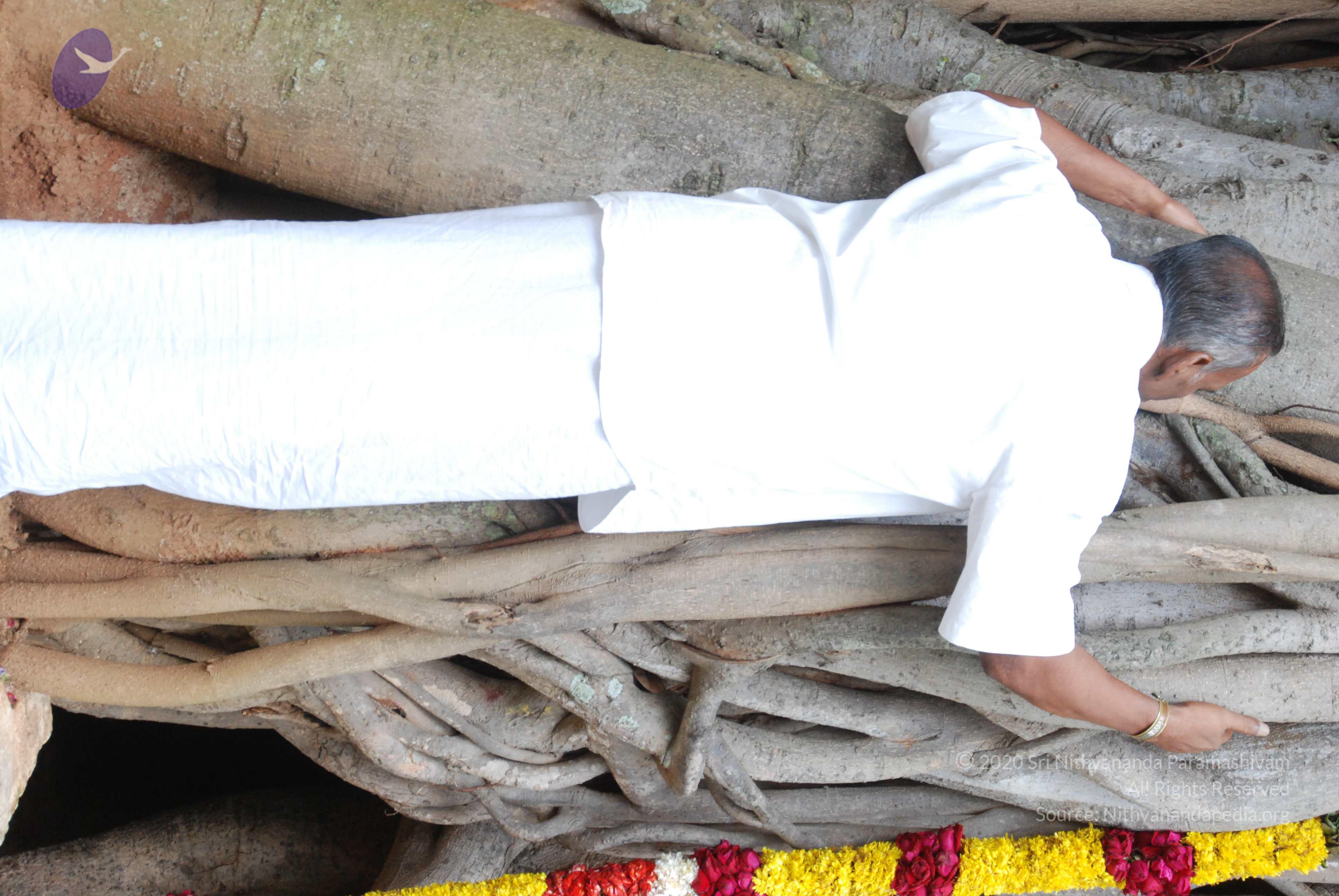 20170720_Photo_1004_DSC_4223_CMP_WM