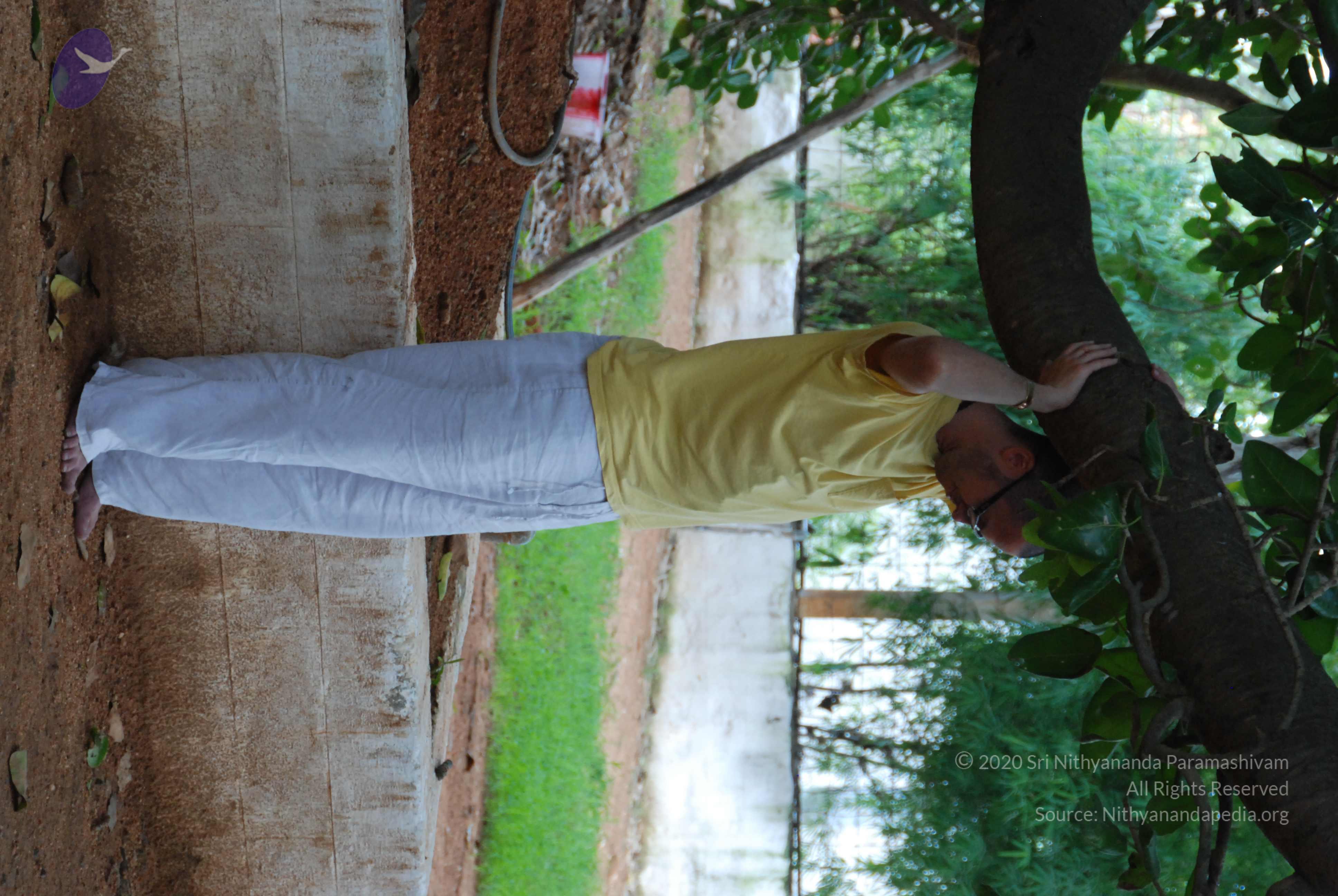 20170720_Photo_1005_DSC_4232_CMP_WM