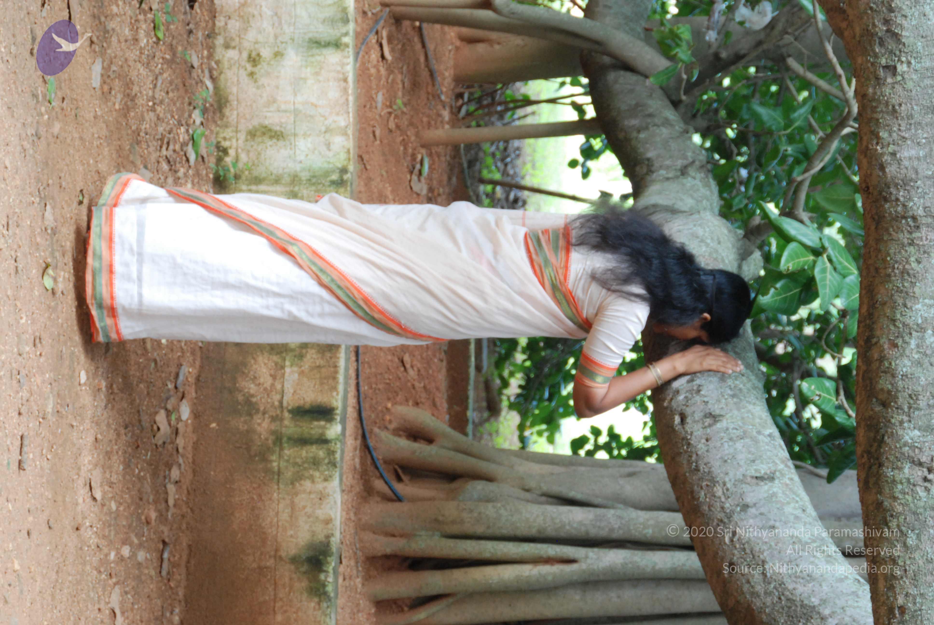 20170720_Photo_1006_DSC_4226_CMP_WM