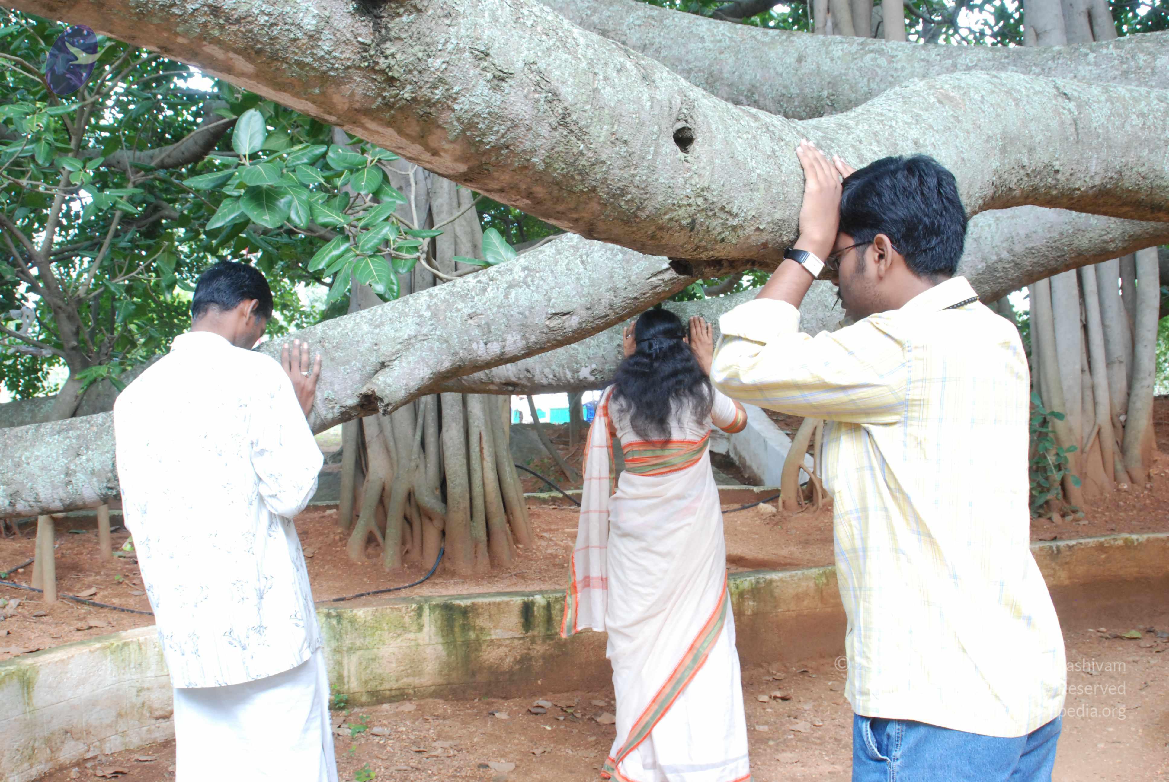 20170720_Photo_1007_DSC_4228_CMP_WM