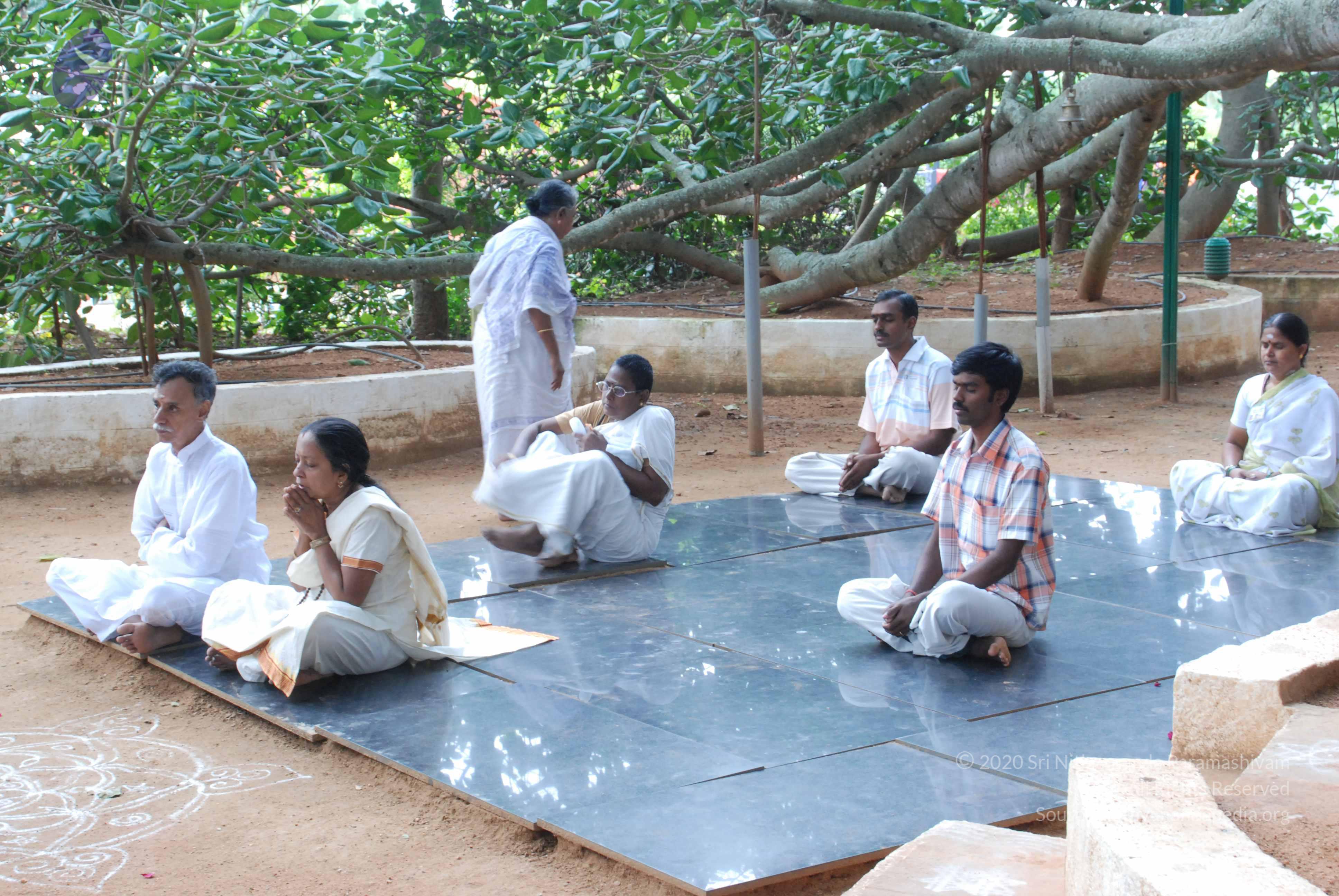 20170720_Photo_1008_DSC_4234_CMP_WM