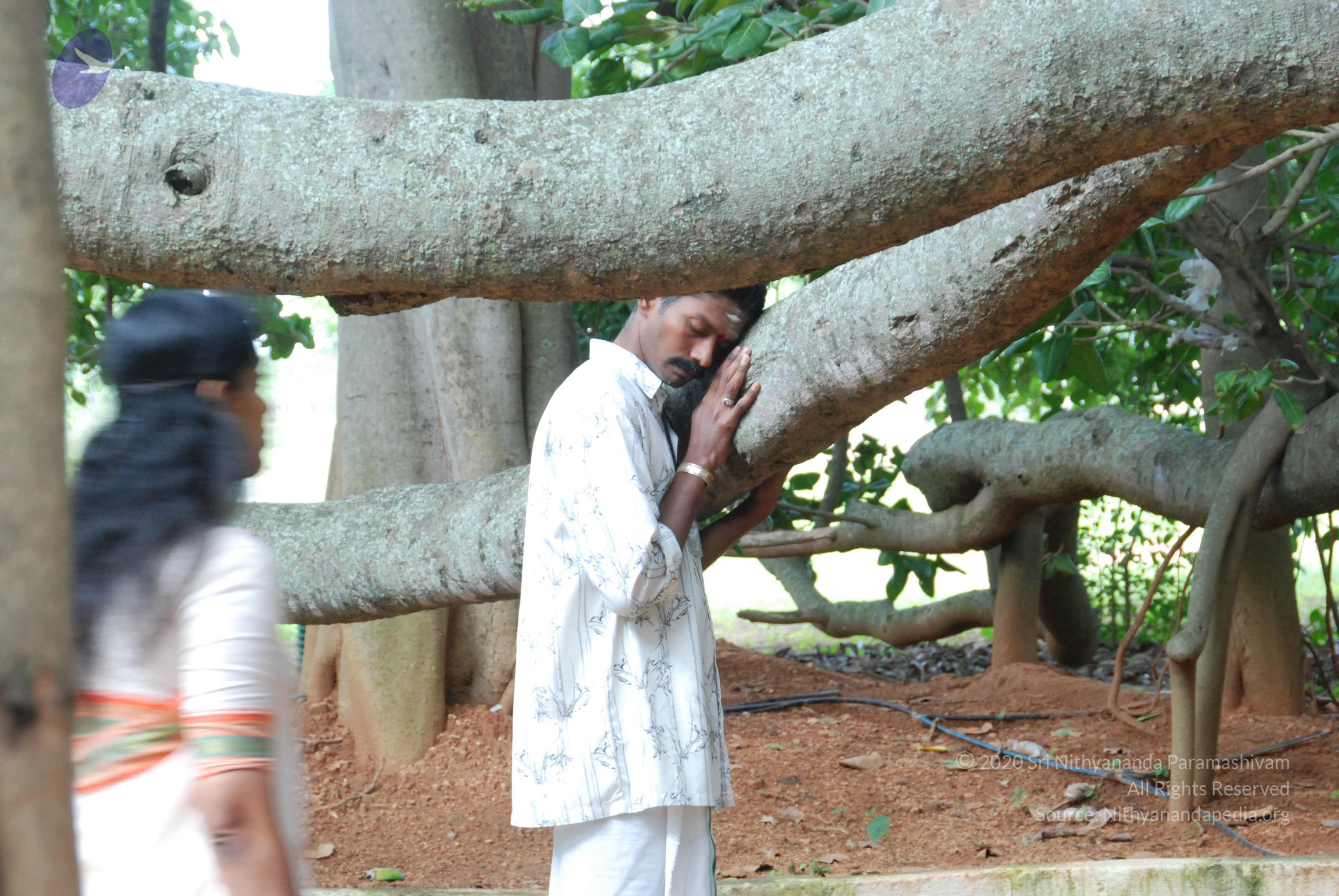 20170720_Photo_1009_DSC_4225_CMP_WM