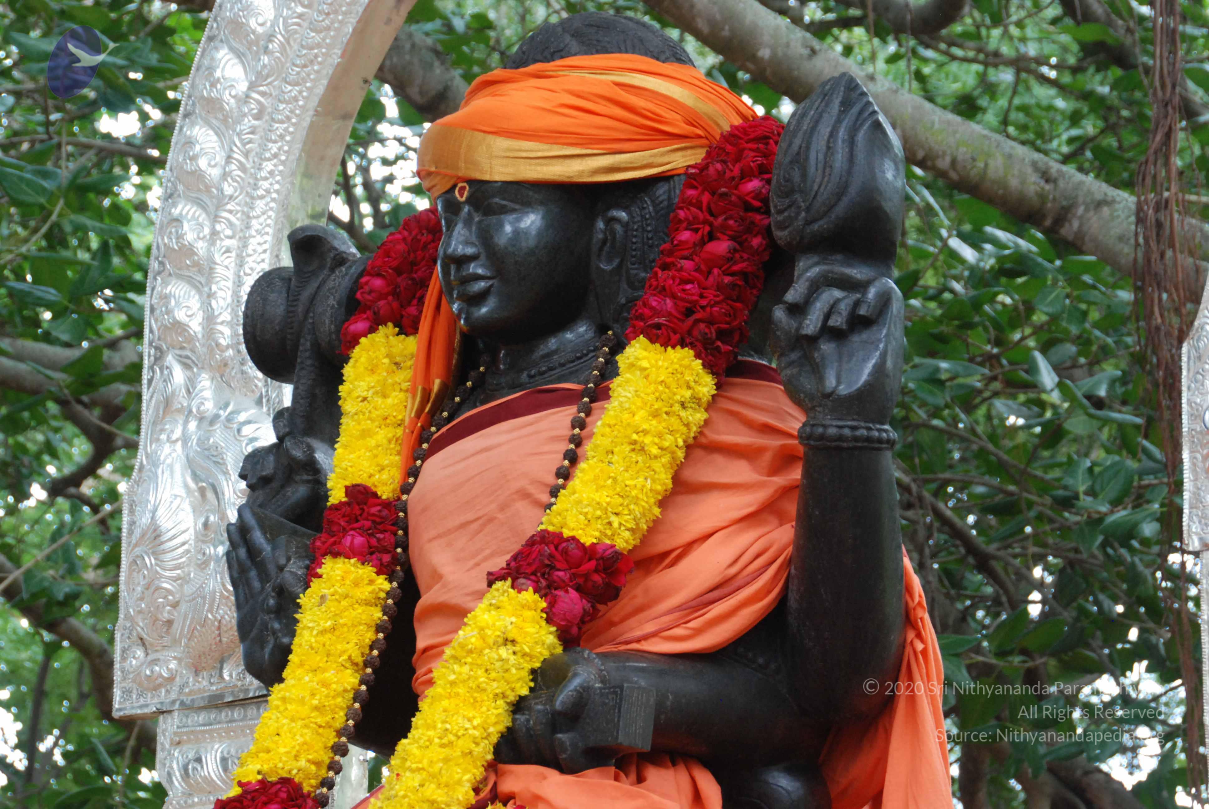 20170720_Photo_1010_DSC_4220_CMP_WM