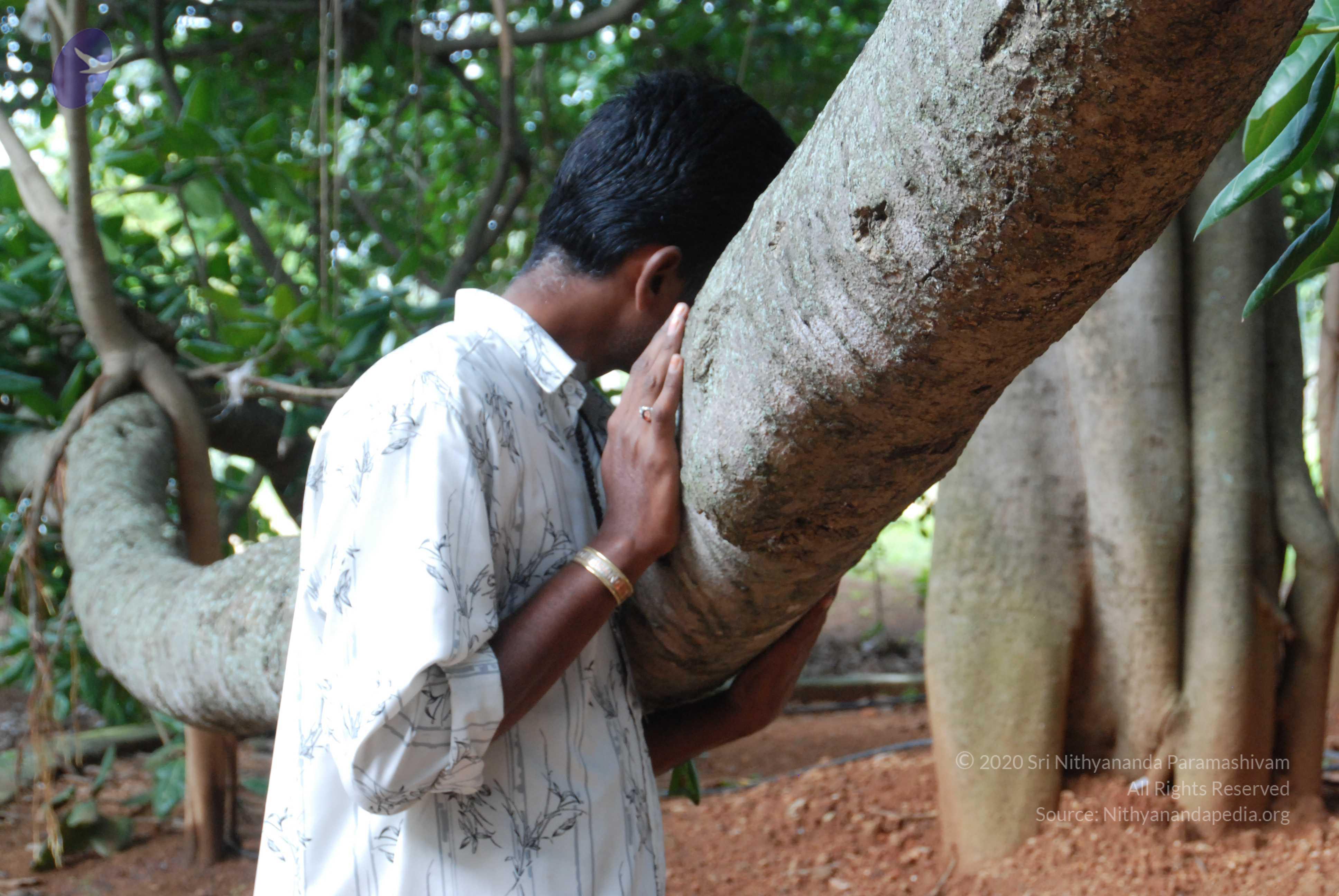 20170720_Photo_1011_DSC_4231_CMP_WM