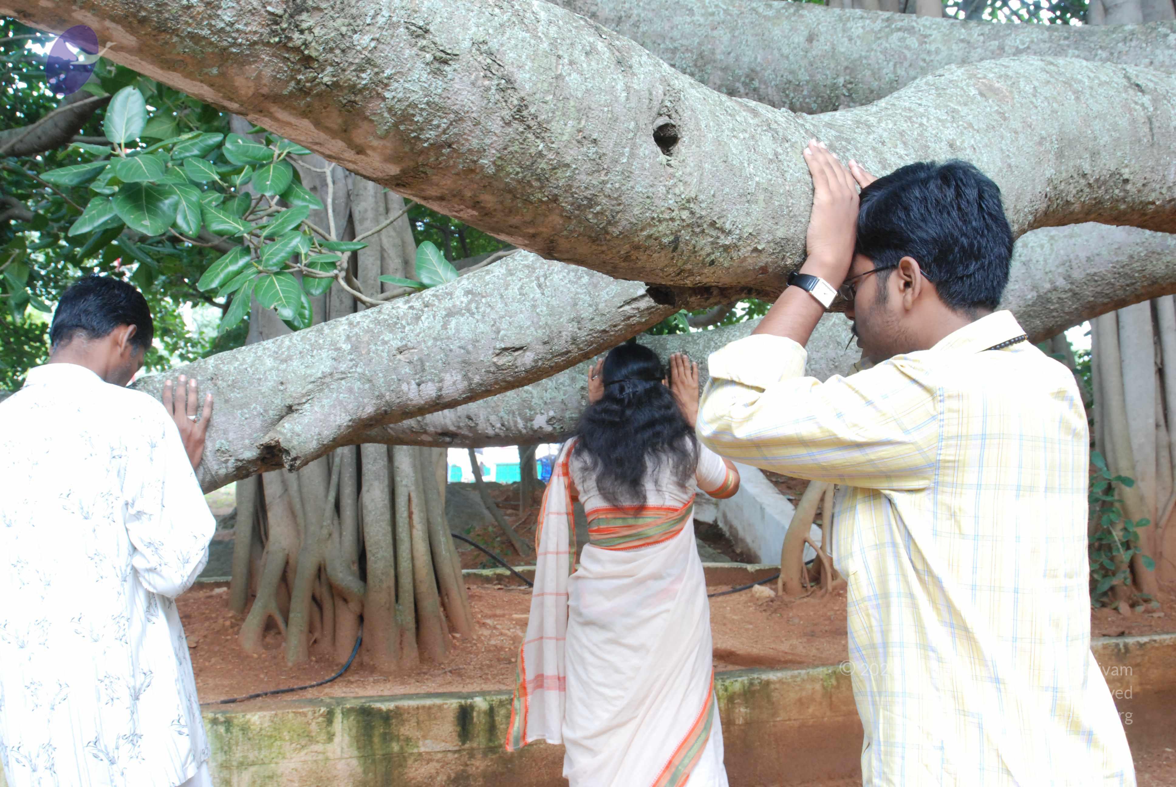 20170720_Photo_1012_DSC_4227_CMP_WM