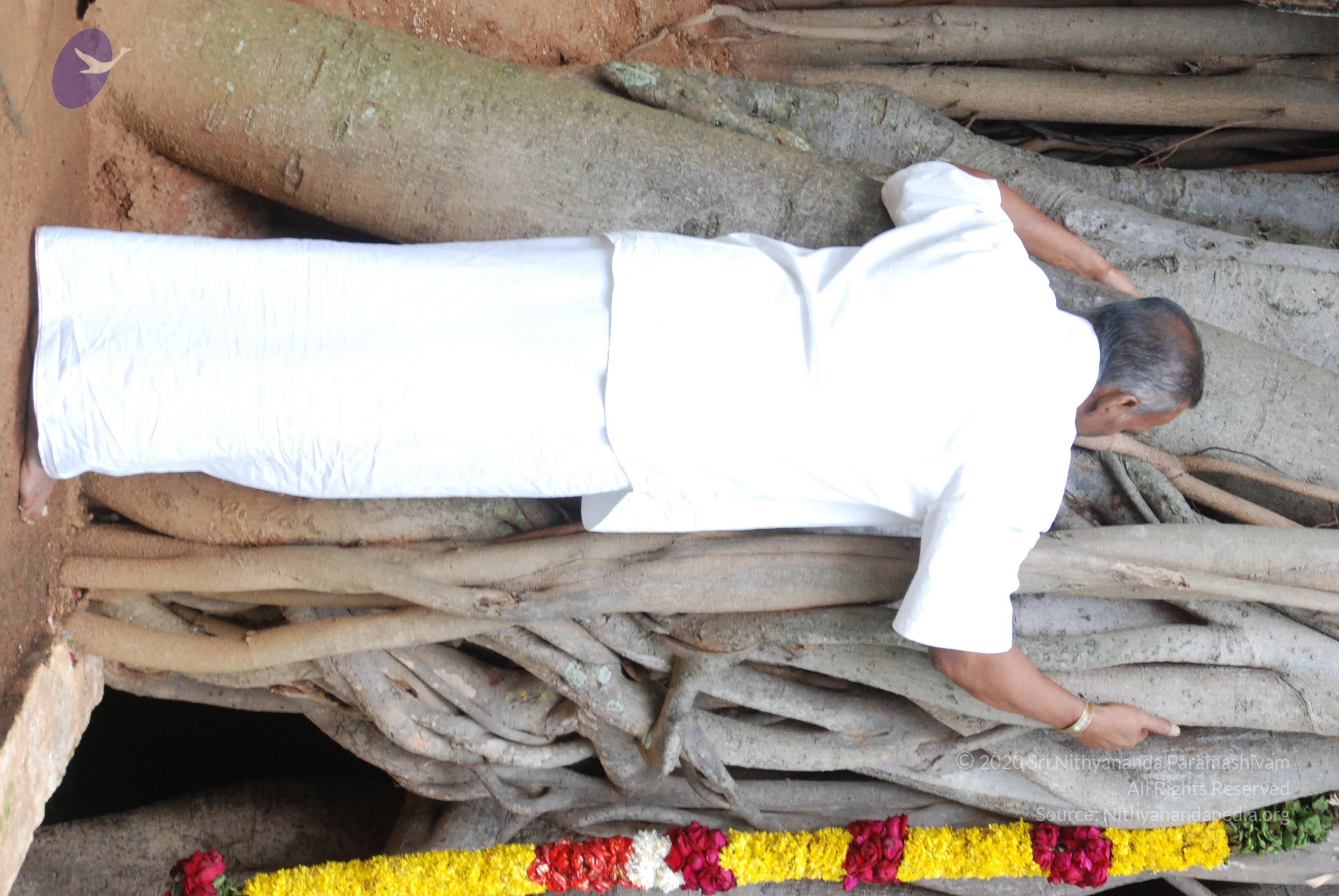 20170720_Photo_1013_DSC_4222_CMP_WM