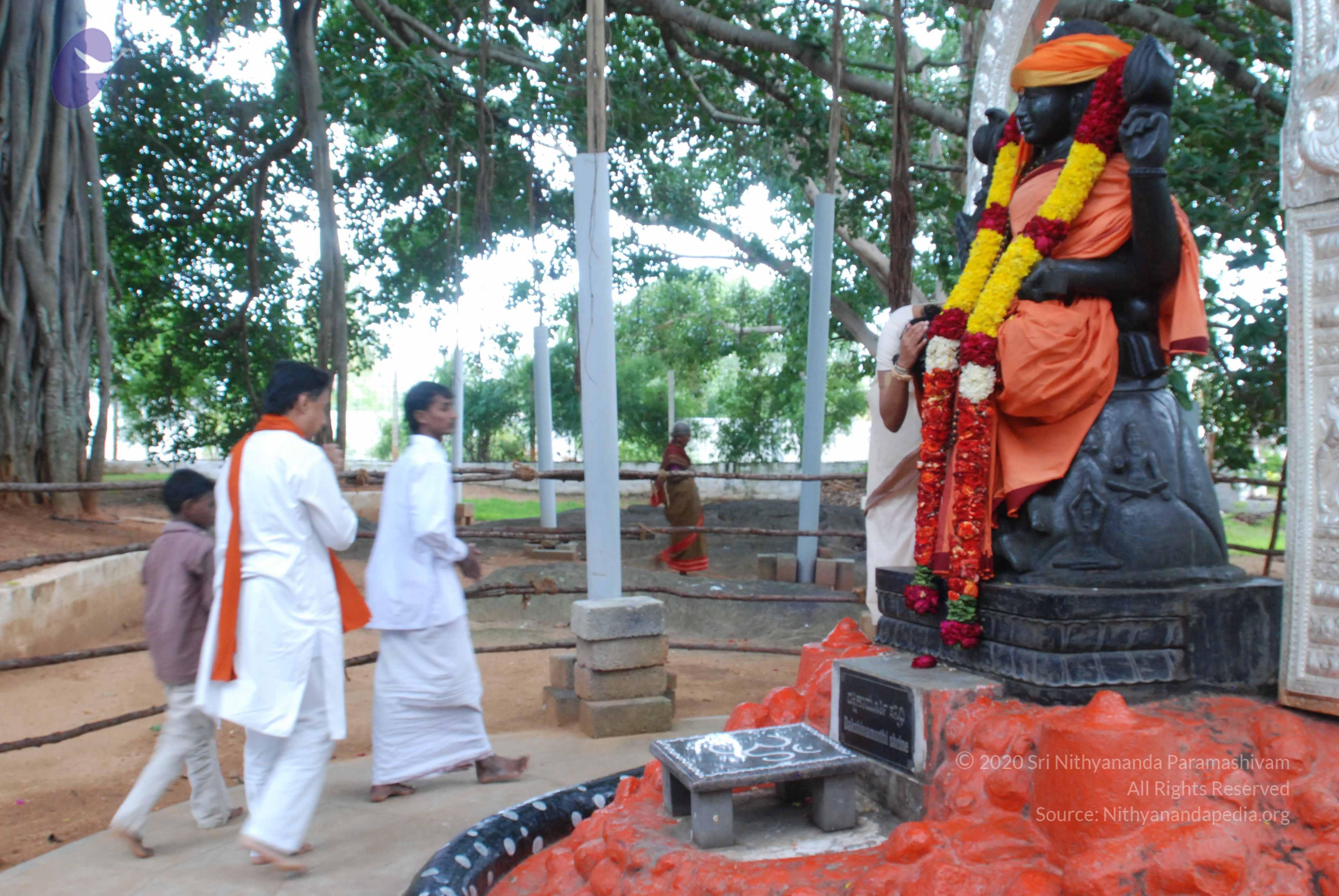 20170720_Photo_1015_DSC_4218_CMP_WM