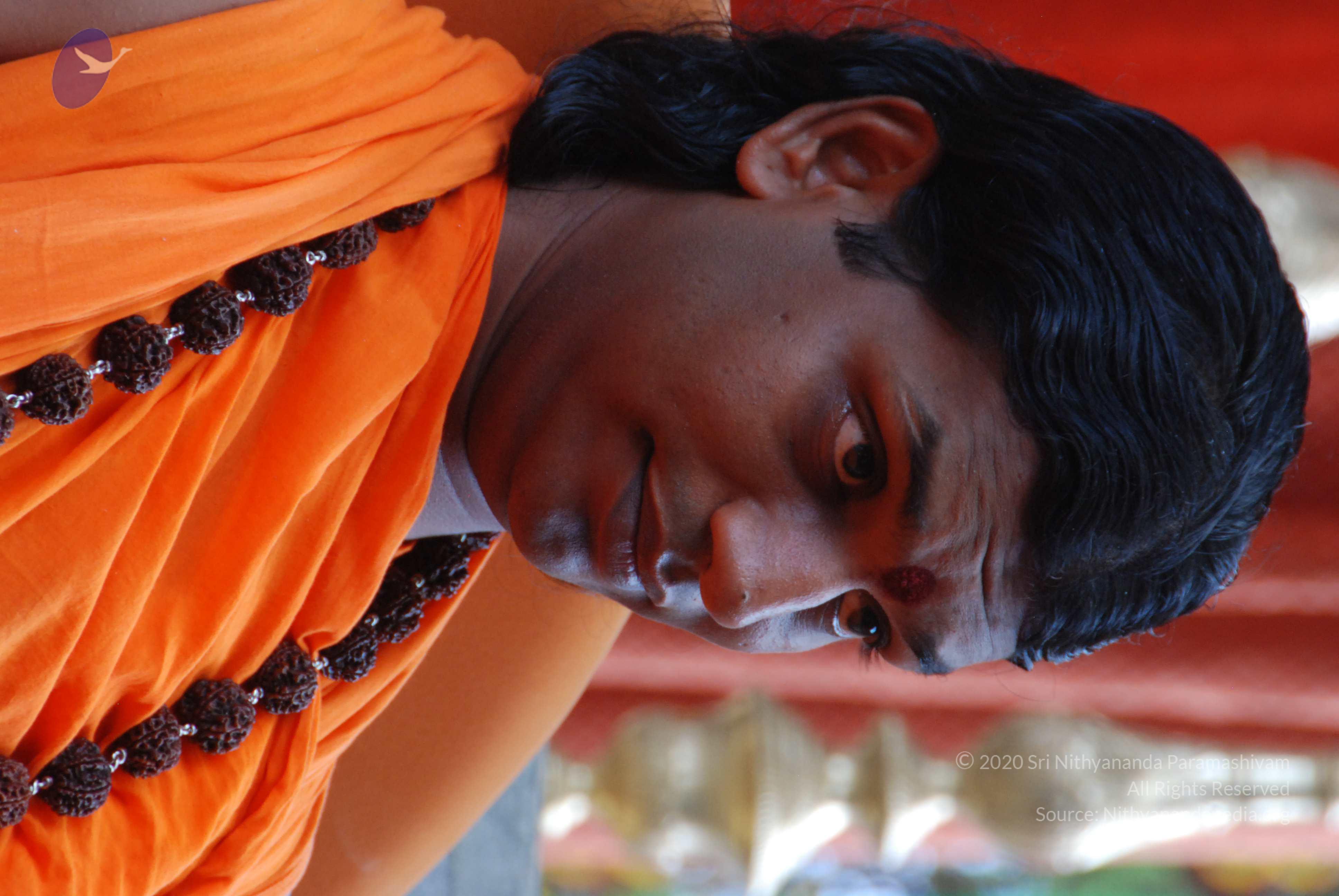 20170720_Photo_1003_DSC_4136_CMP_WM