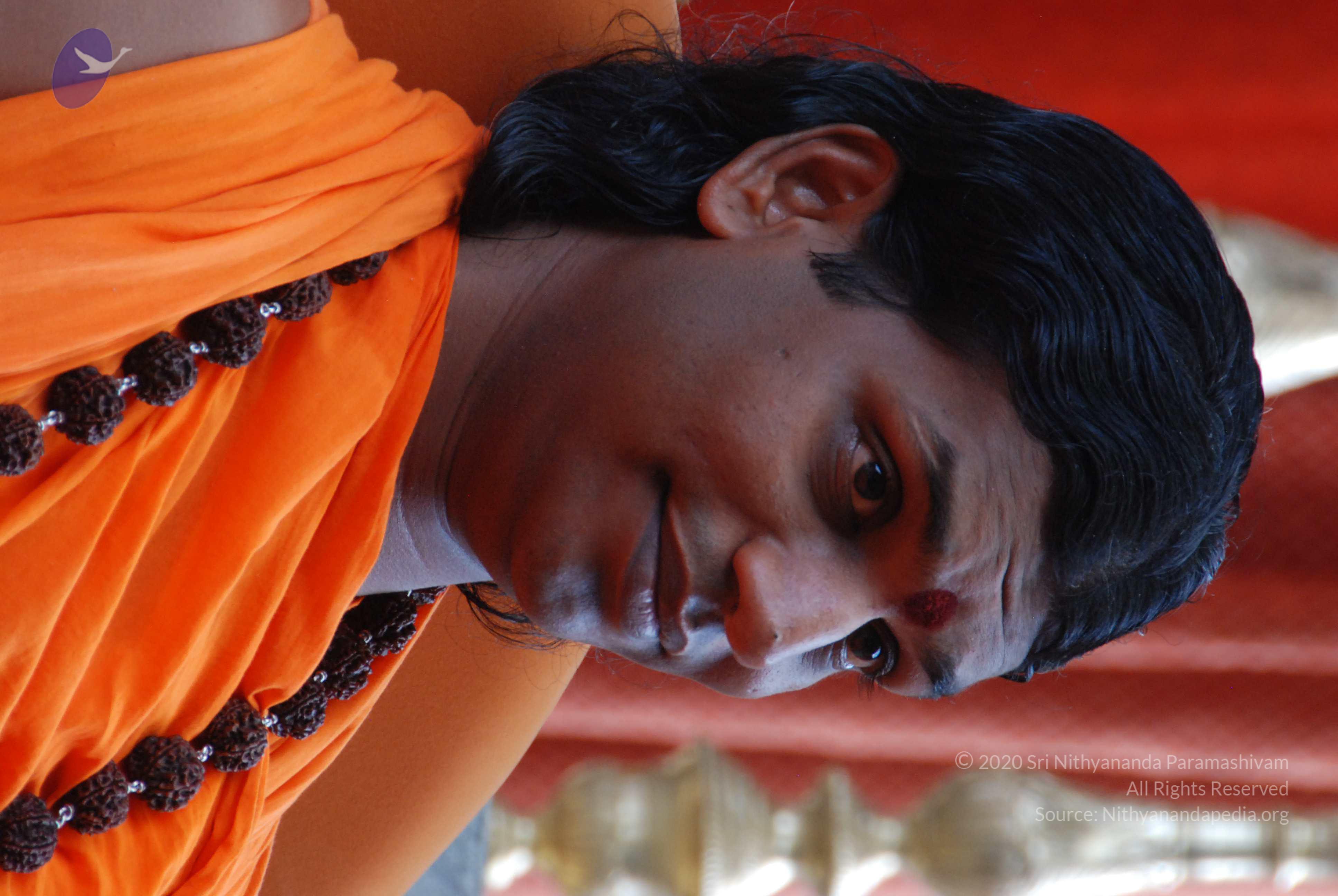 20170720_Photo_1006_DSC_4145_CMP_WM