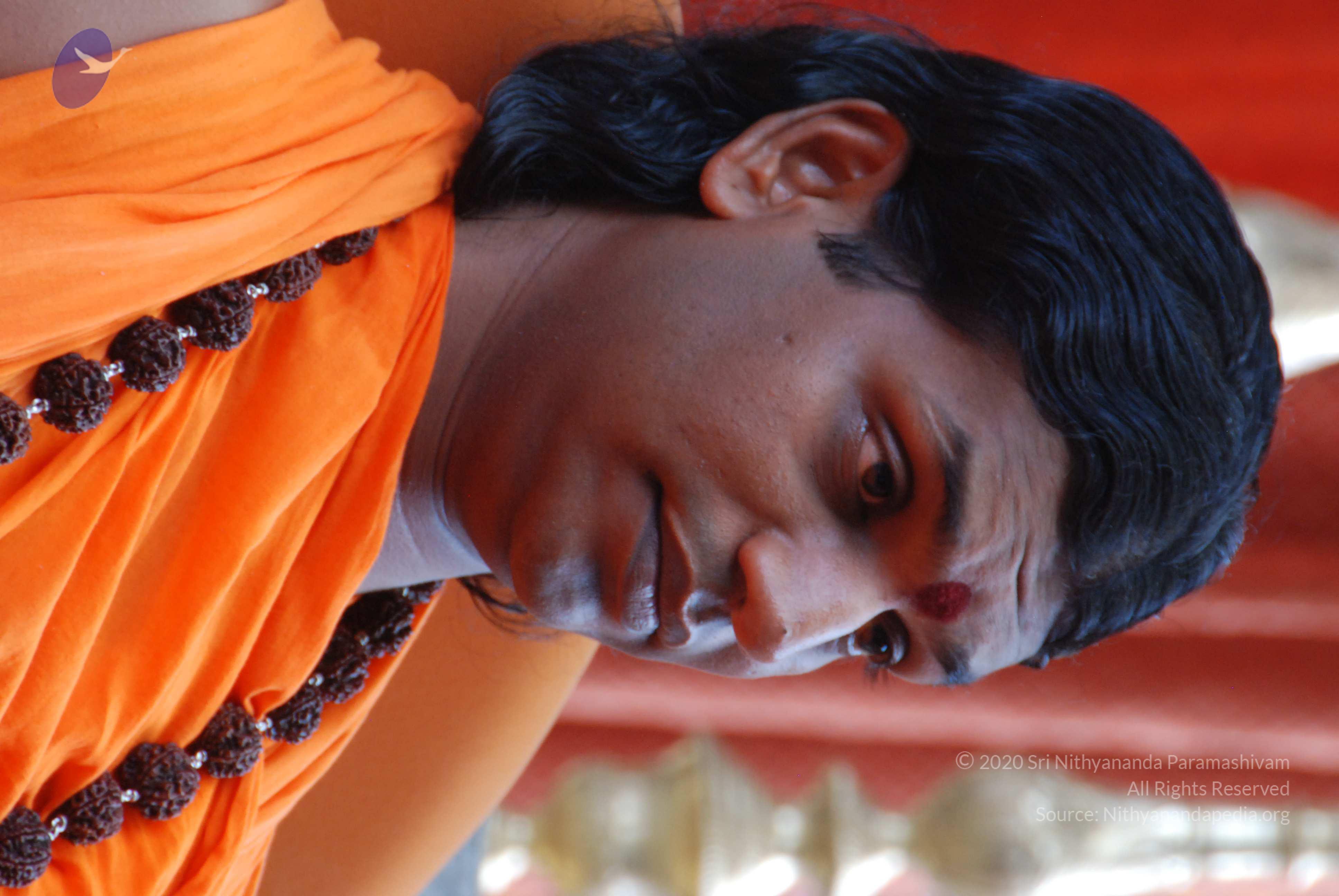 20170720_Photo_1008_DSC_4159_CMP_WM