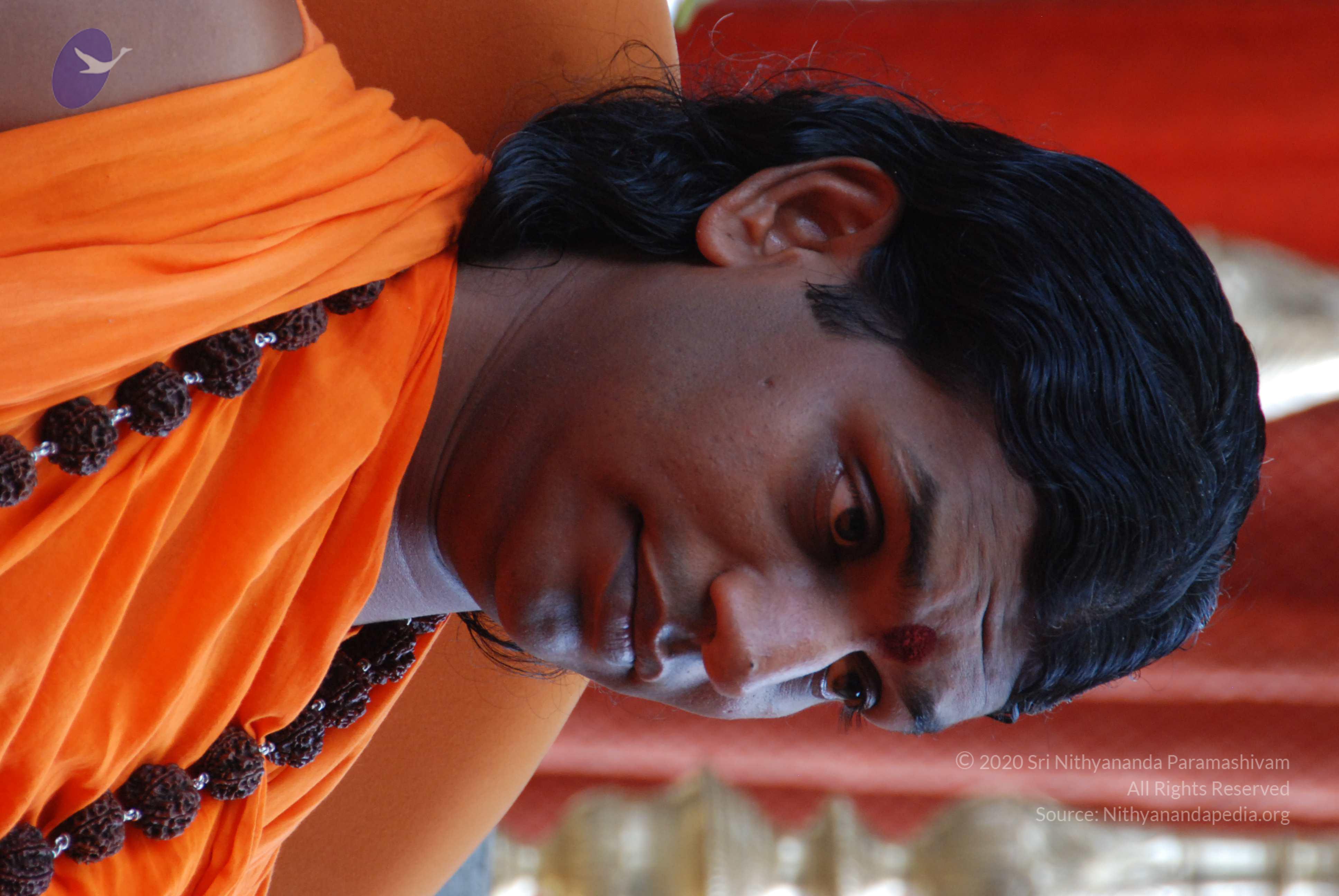 20170720_Photo_1011_DSC_4140_CMP_WM