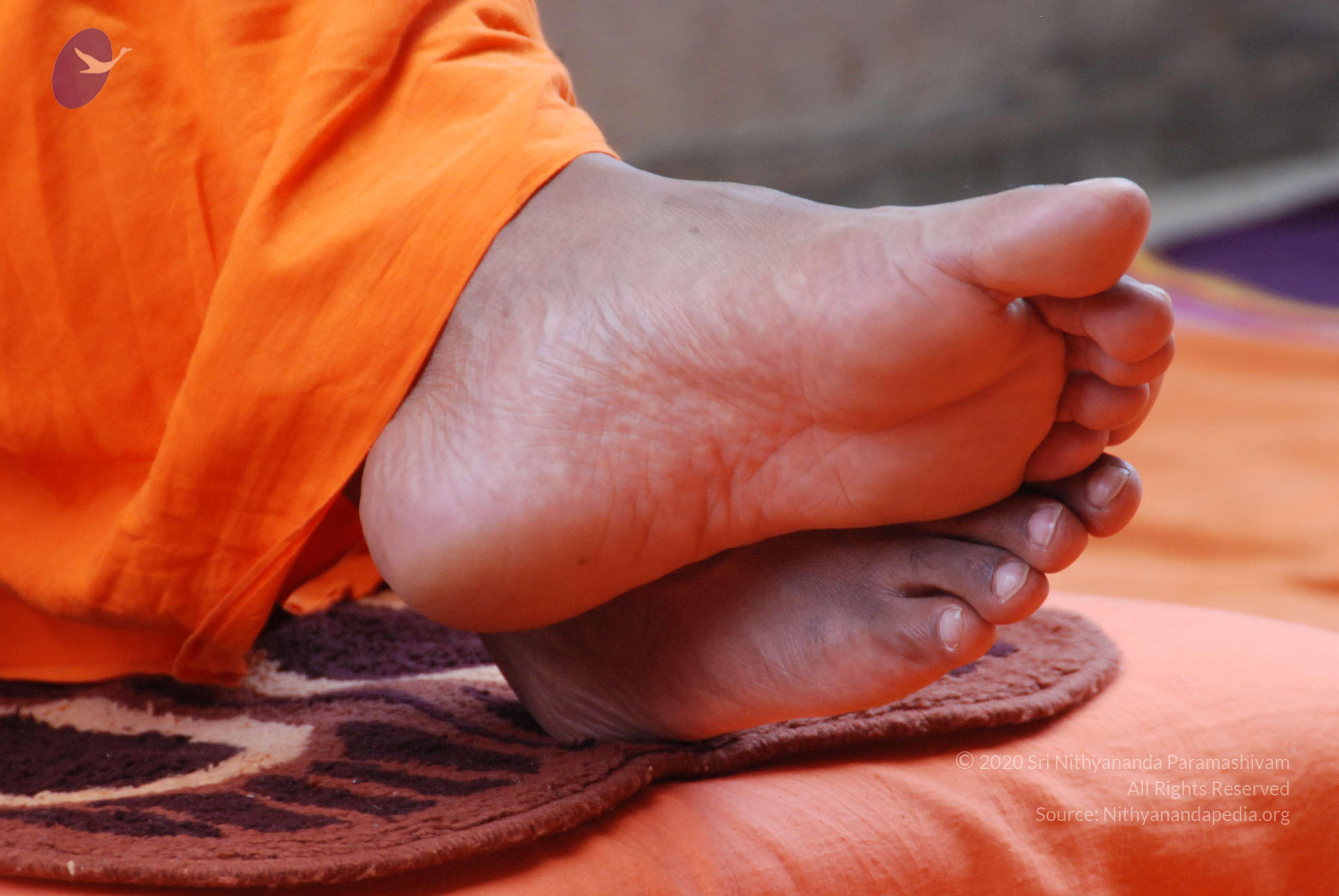 20170720_Photo_1017_DSC_4161_CMP_WM