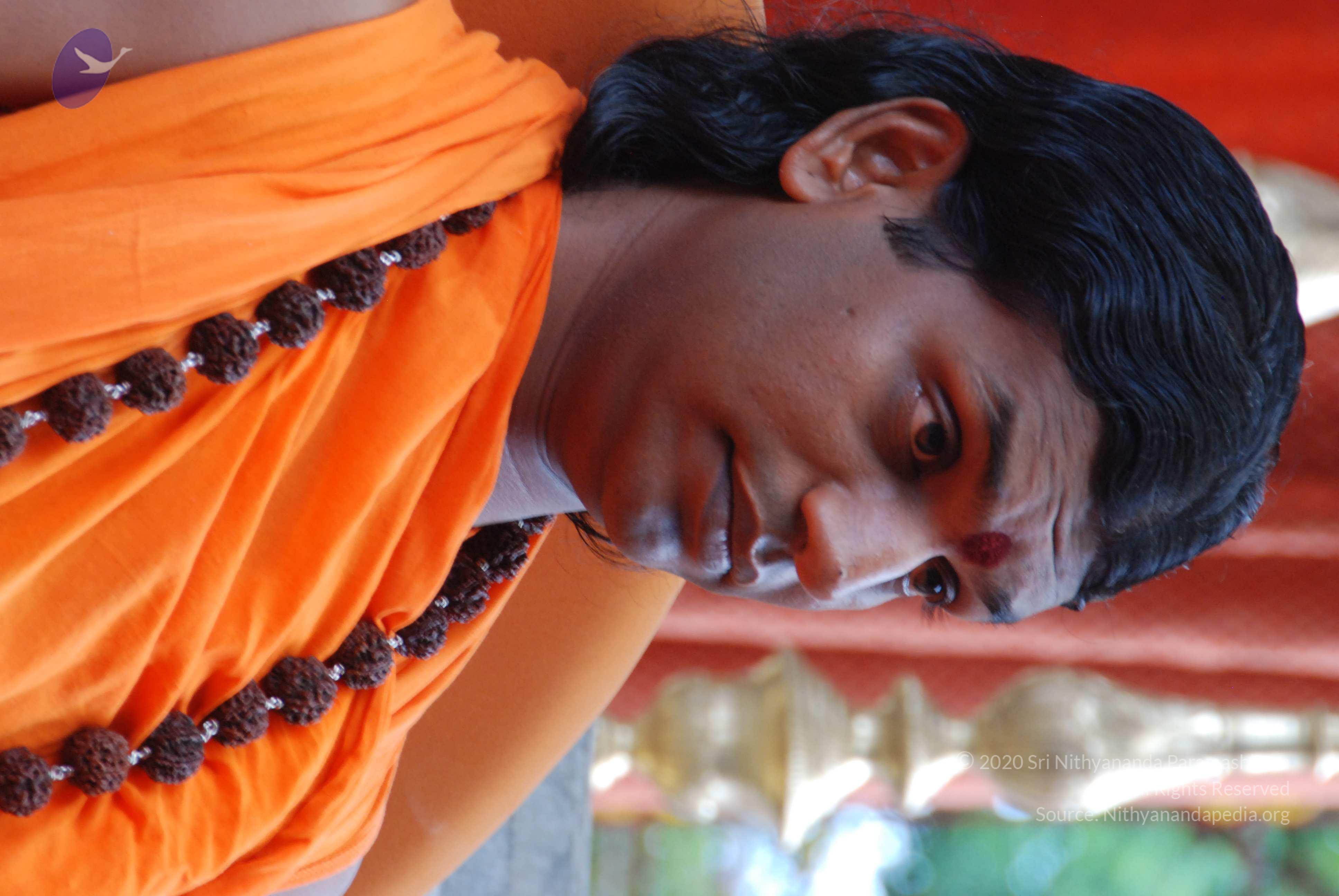 20170720_Photo_1018_DSC_4156_CMP_WM