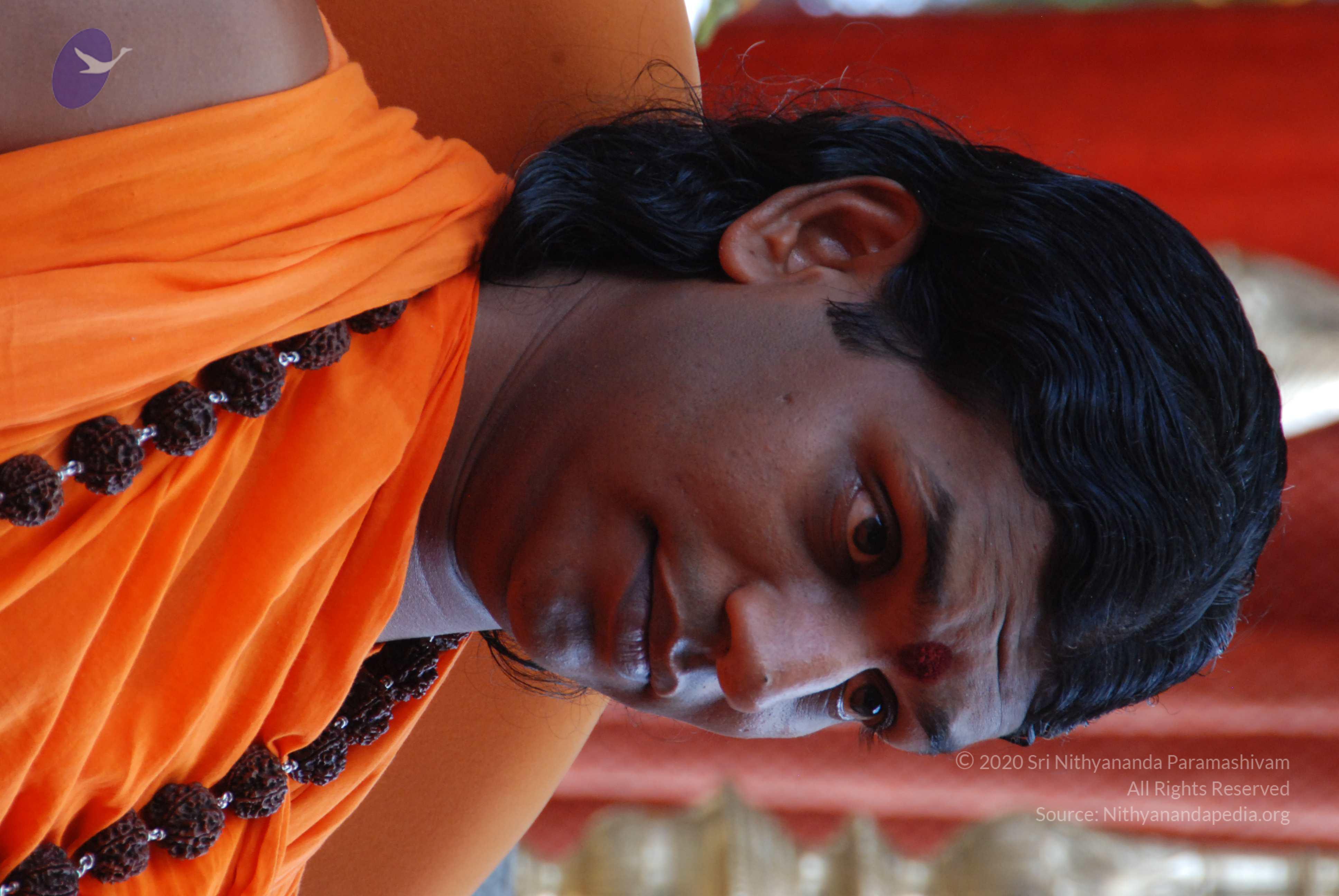 20170720_Photo_1022_DSC_4139_CMP_WM