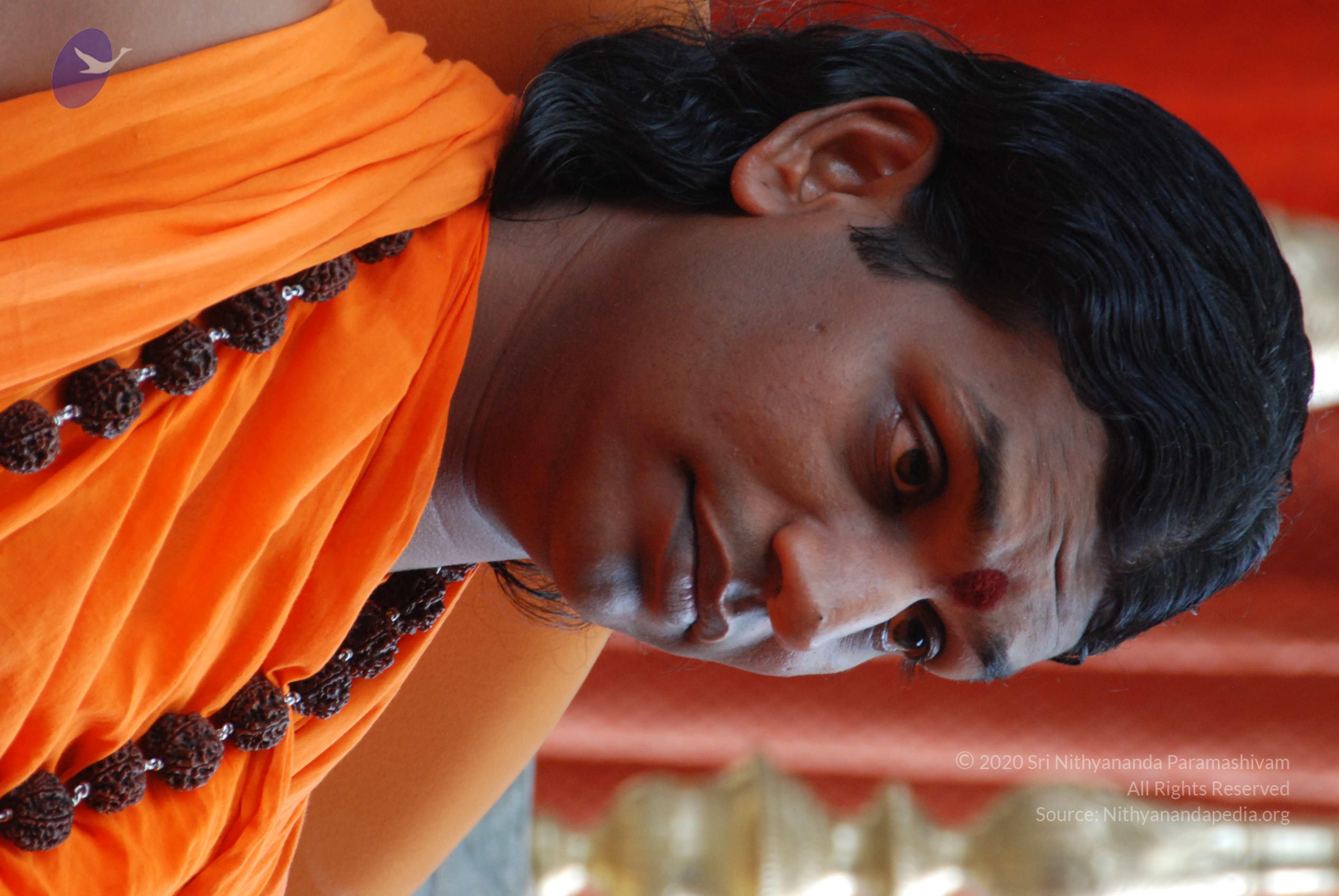 20170720_Photo_1024_DSC_4125_CMP_WM