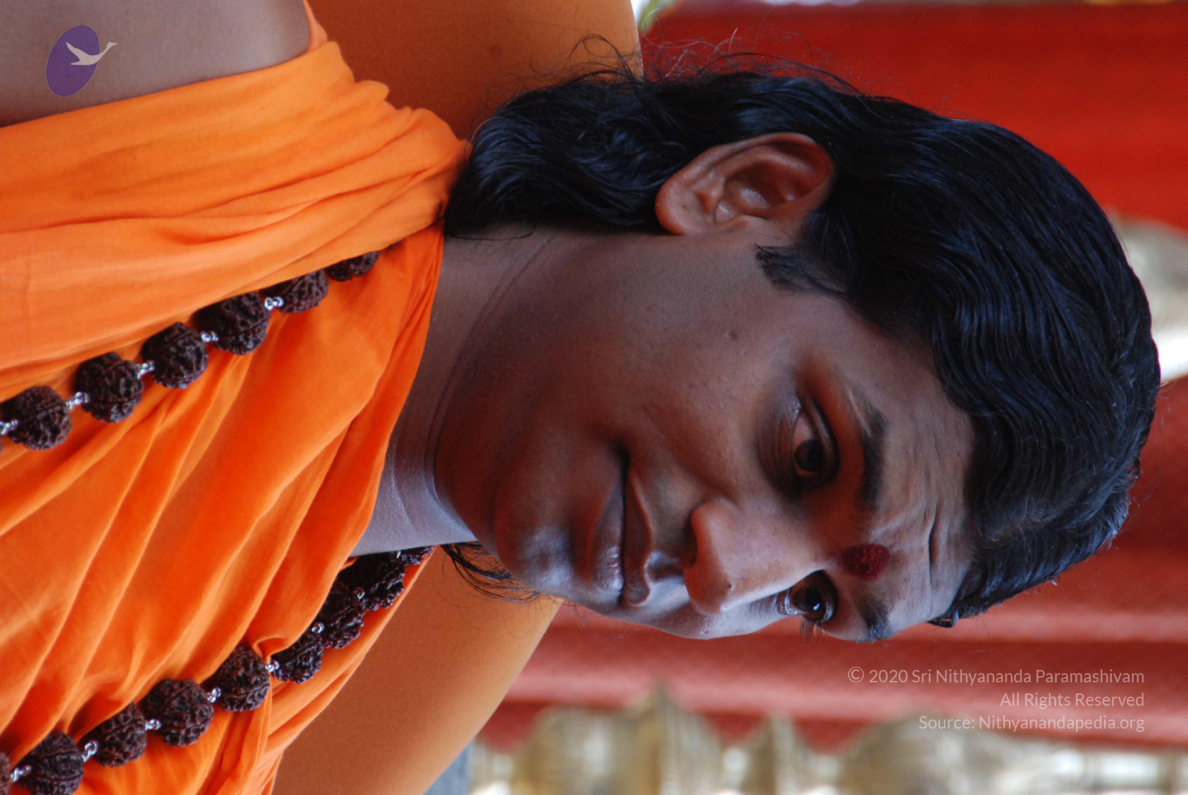 20170720_Photo_1026_DSC_4147_CMP_WM