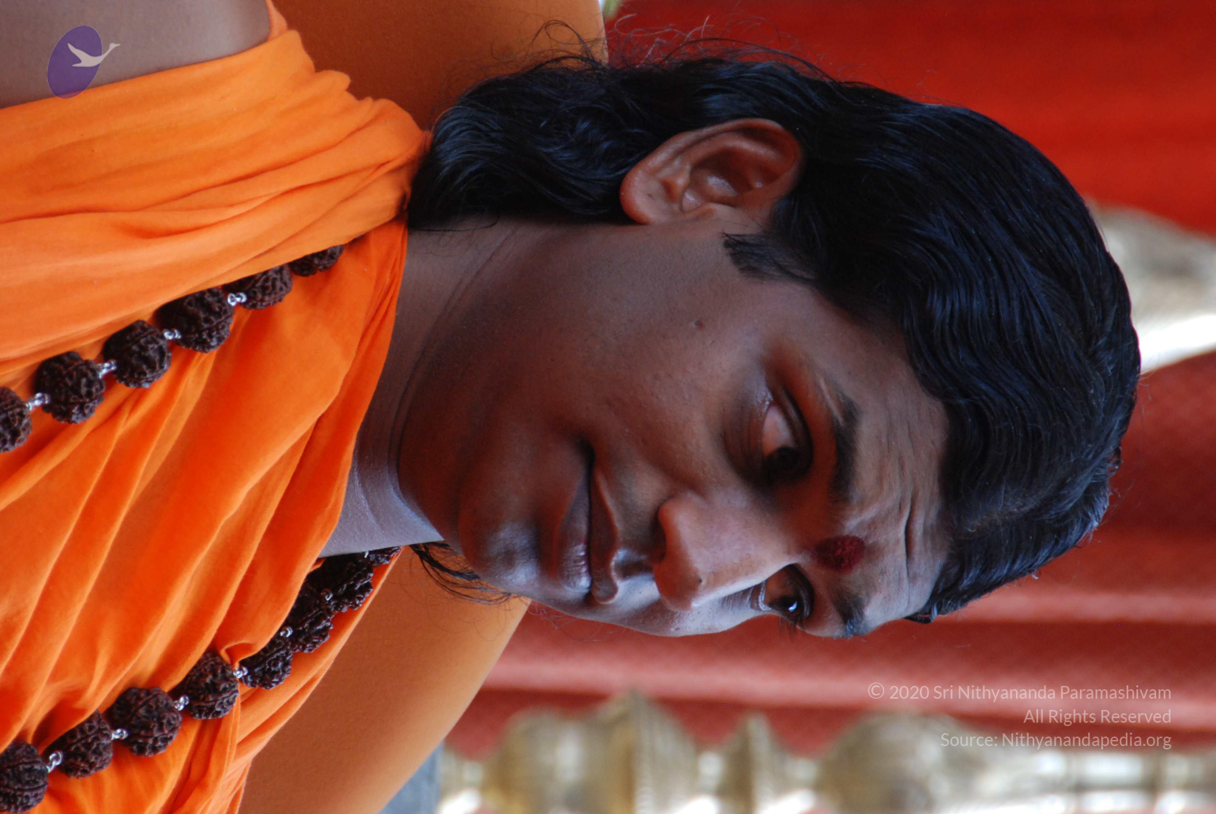 20170720_Photo_1030_DSC_4142_CMP_WM