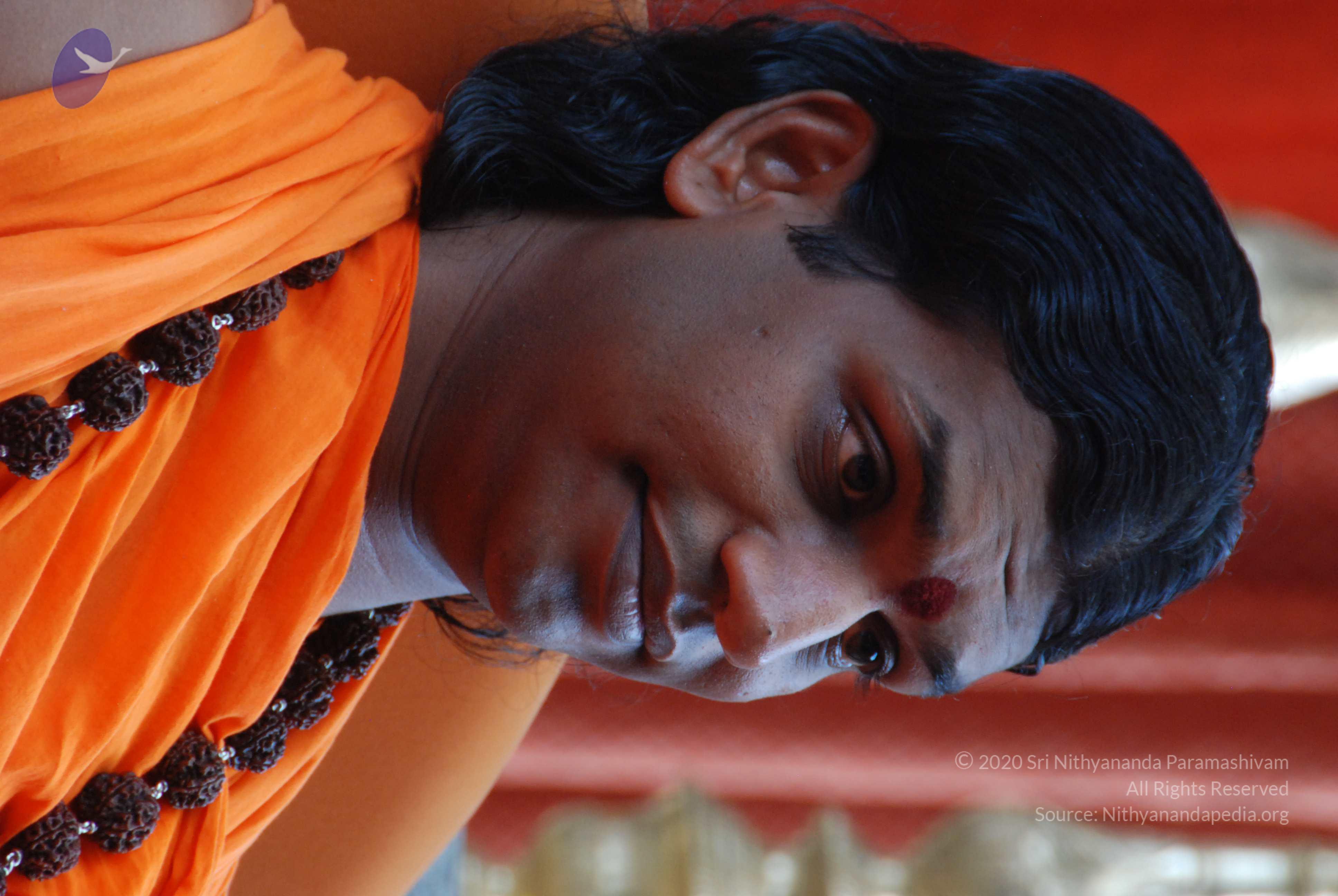 20170720_Photo_1033_DSC_4131_CMP_WM