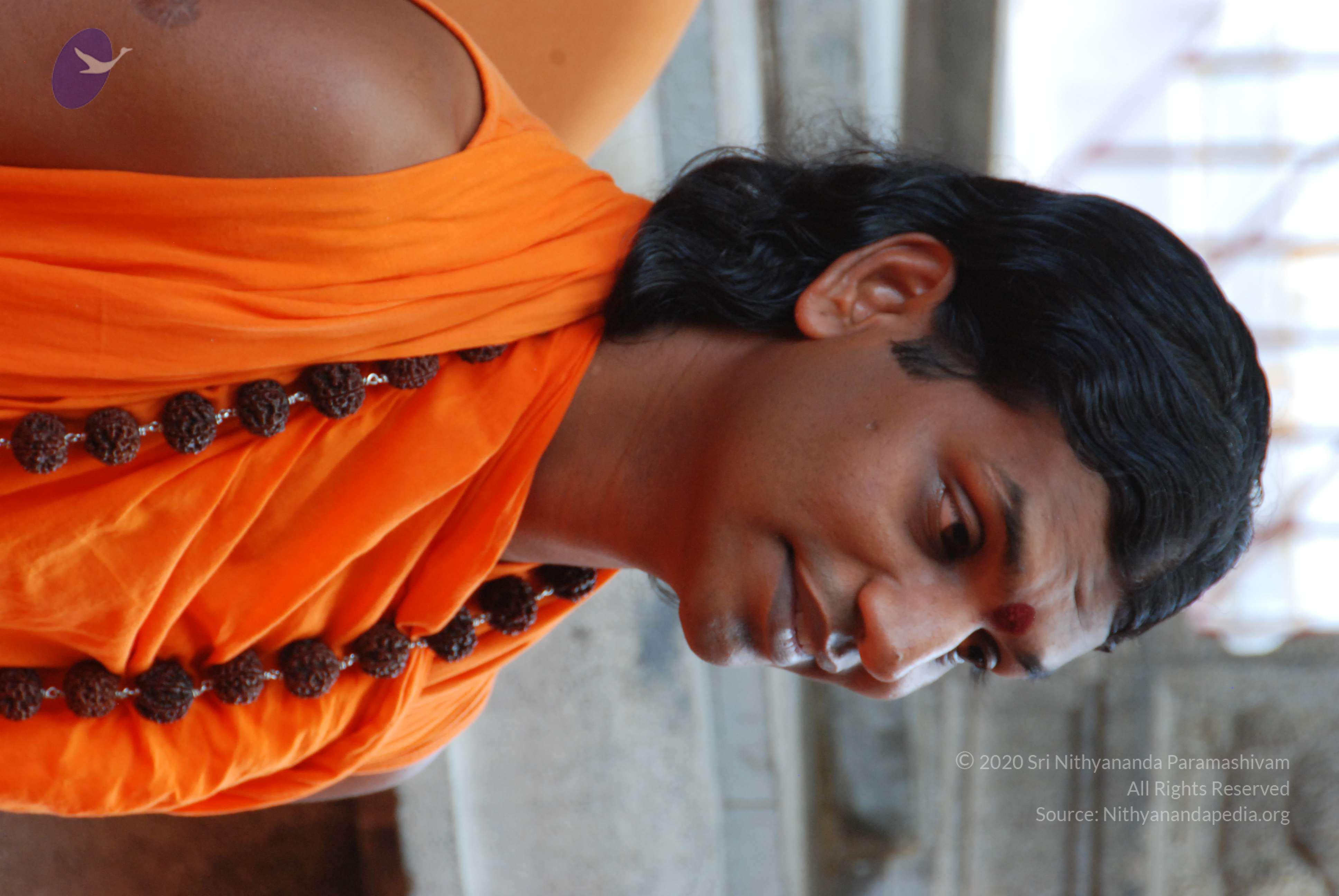 20170720_Photo_1034_DSC_4123_CMP_WM