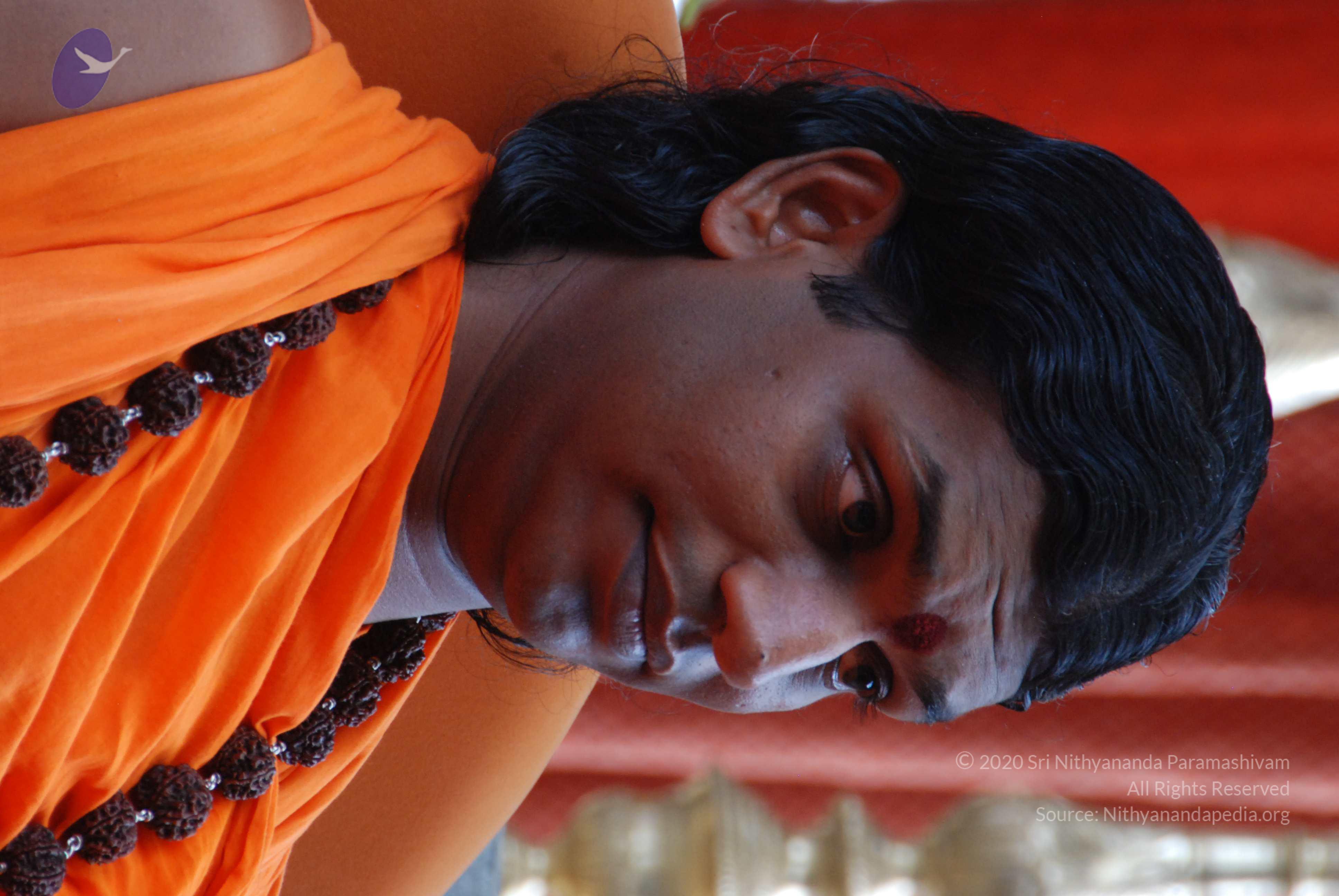 20170720_Photo_1036_DSC_4141_CMP_WM