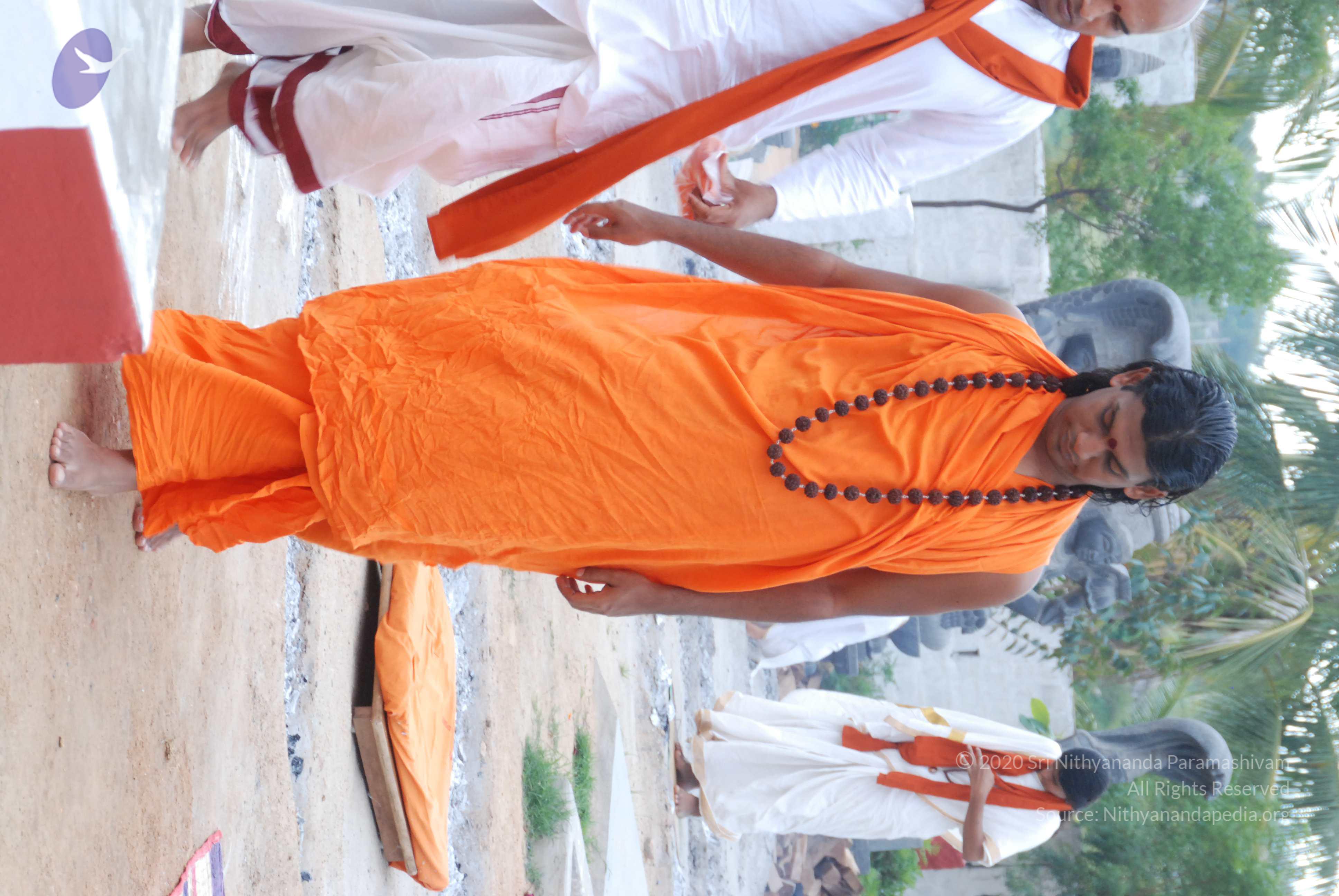 20170720_Photo_1037_DSC_4108_CMP_WM