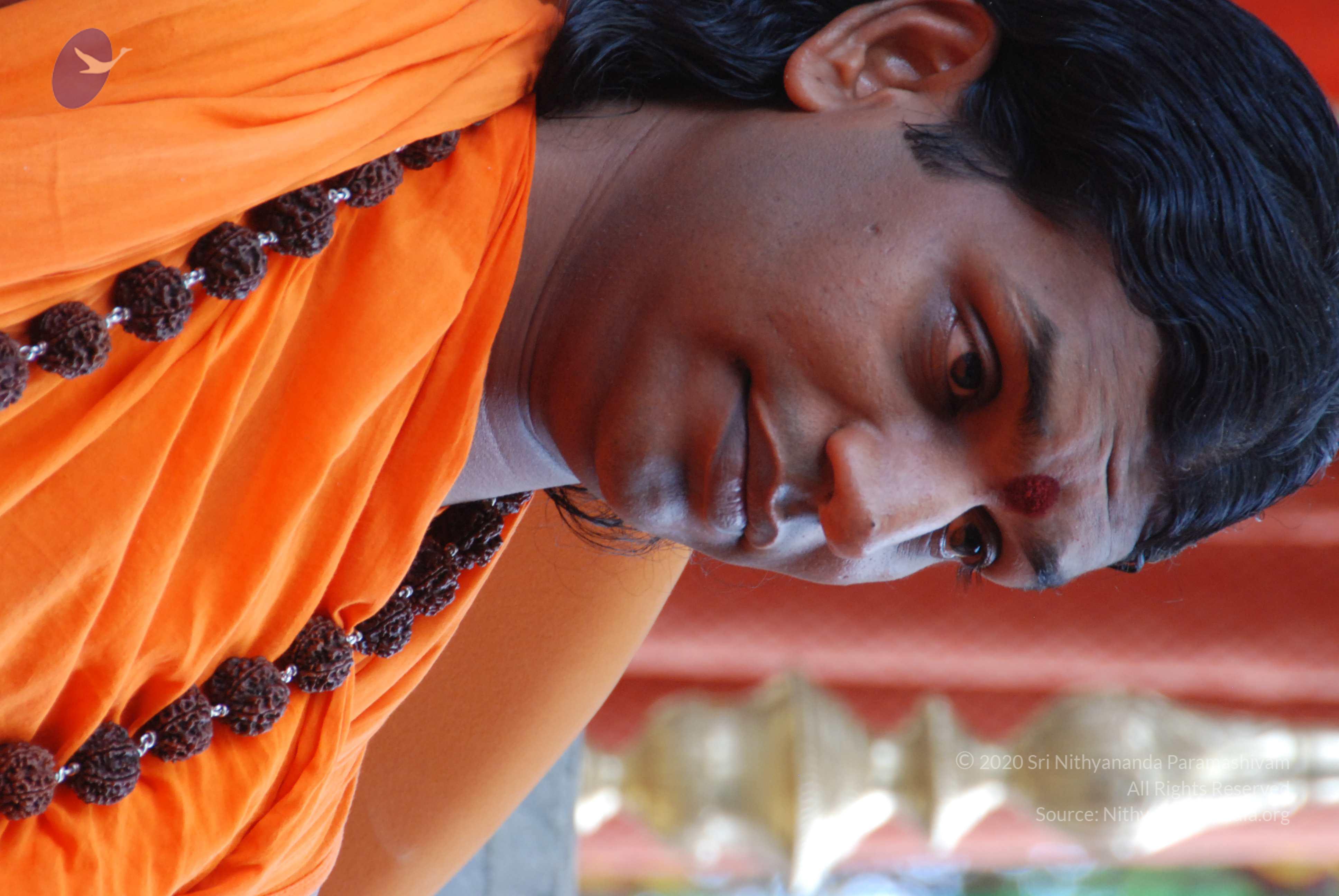 20170720_Photo_1039_DSC_4167_CMP_WM