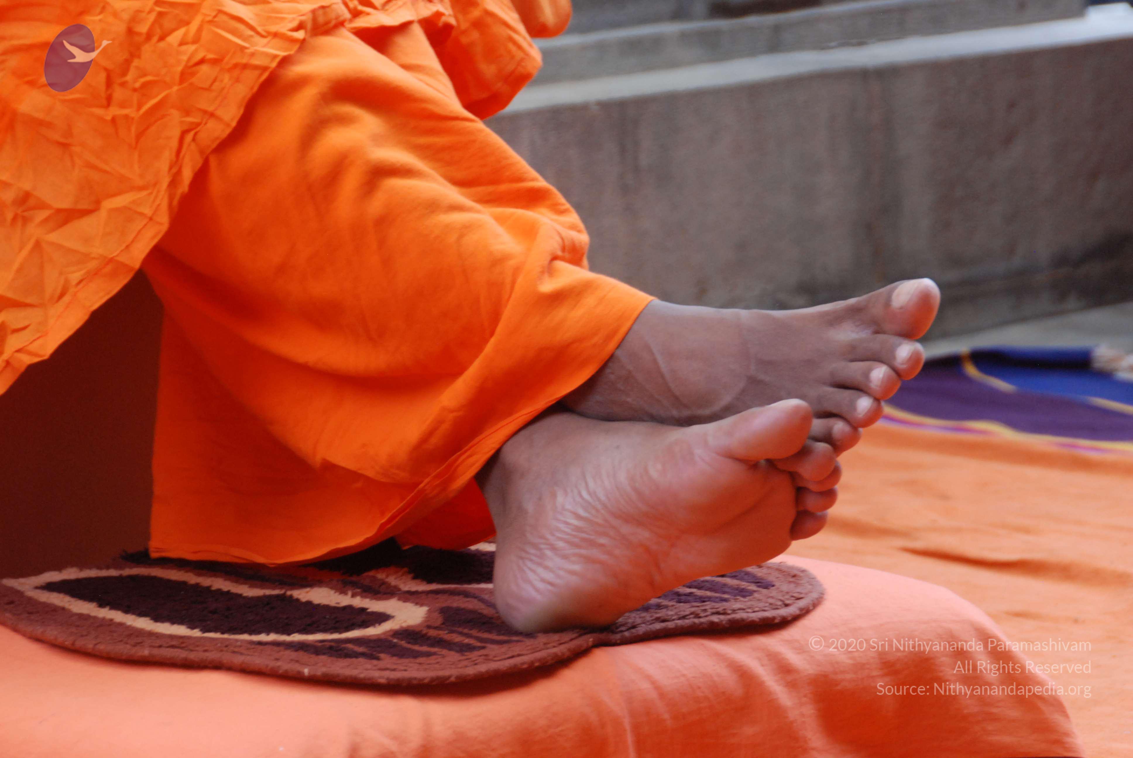 20170720_Photo_1040_DSC_4150_CMP_WM