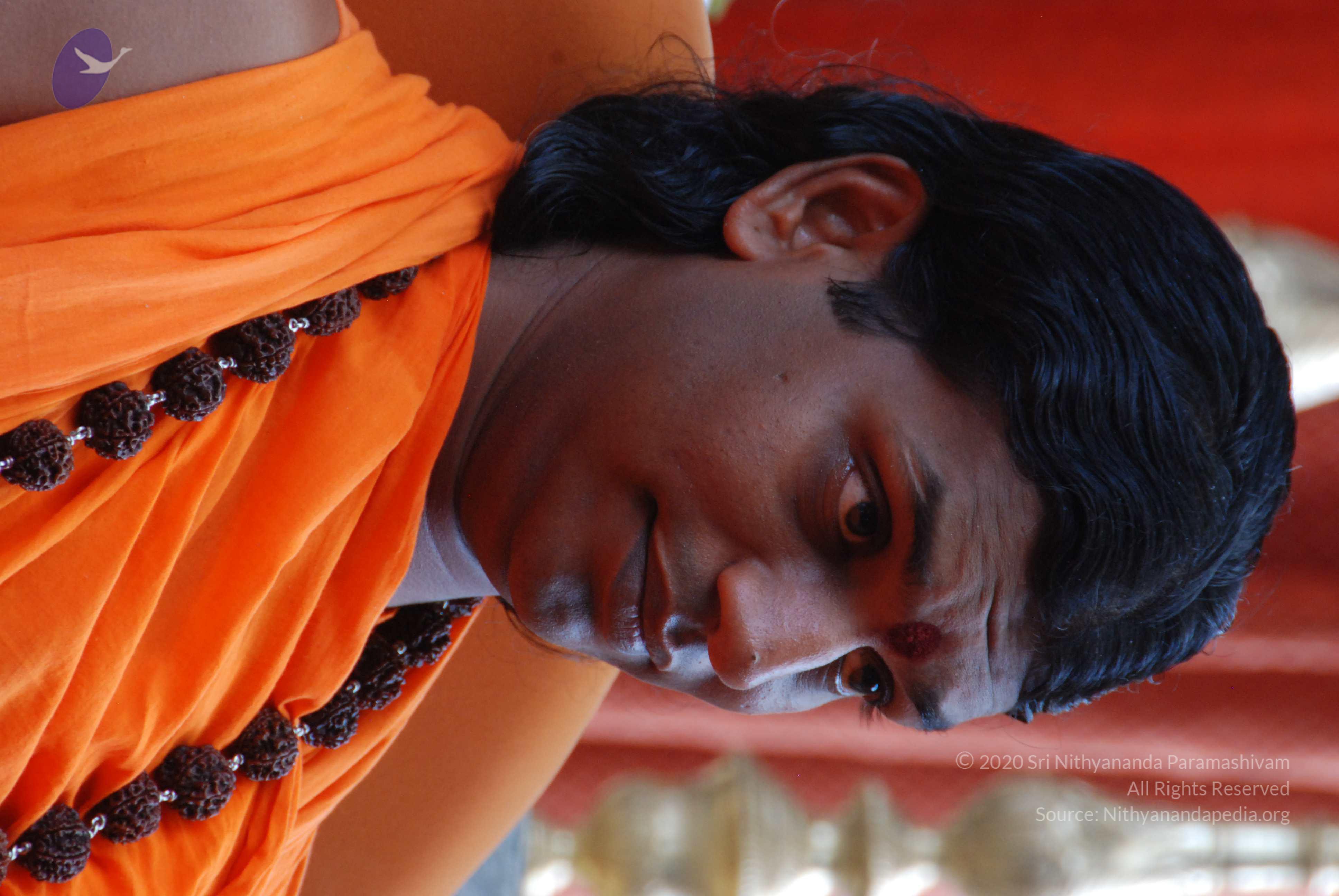 20170720_Photo_1045_DSC_4137_CMP_WM