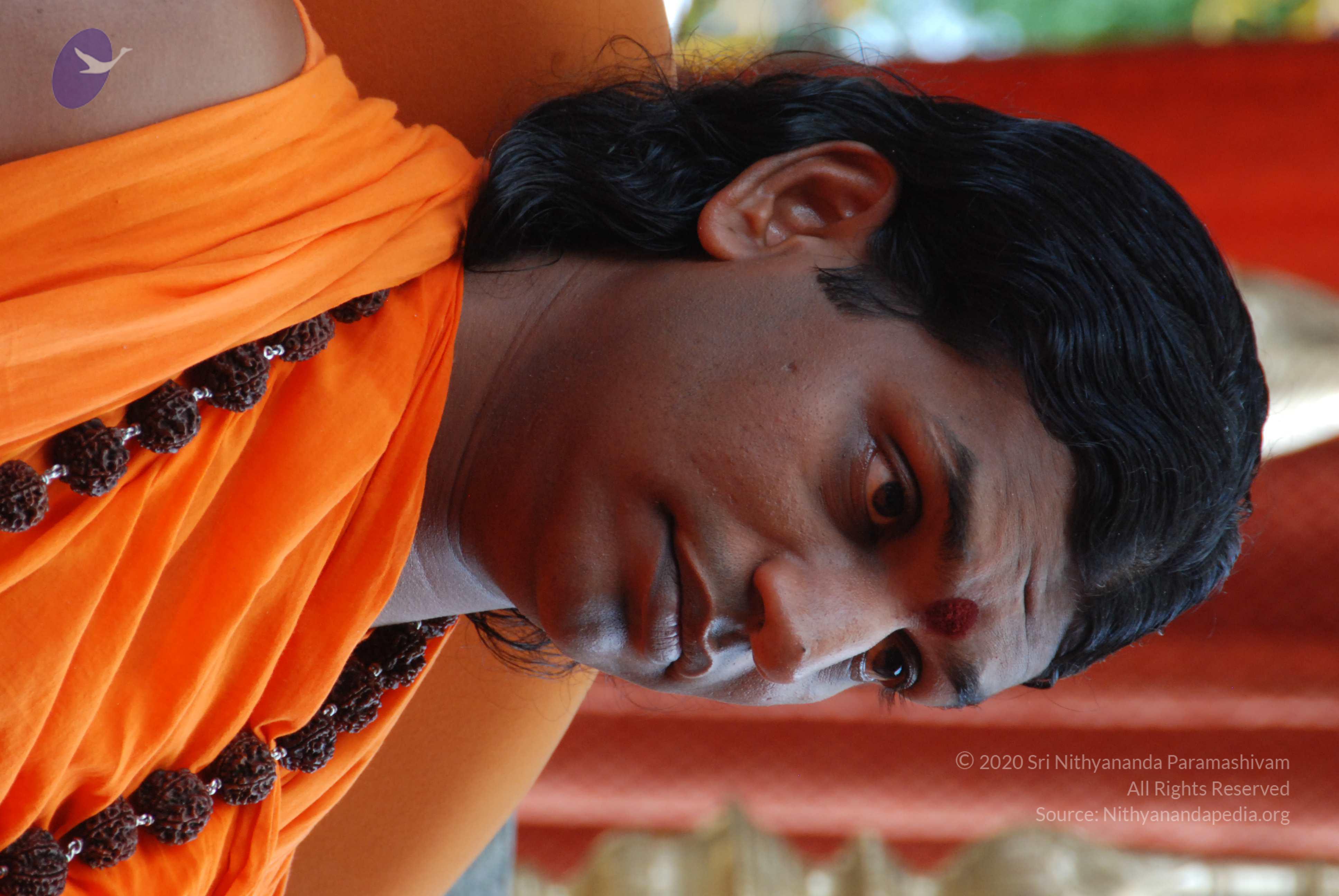 20170720_Photo_1047_DSC_4126_CMP_WM