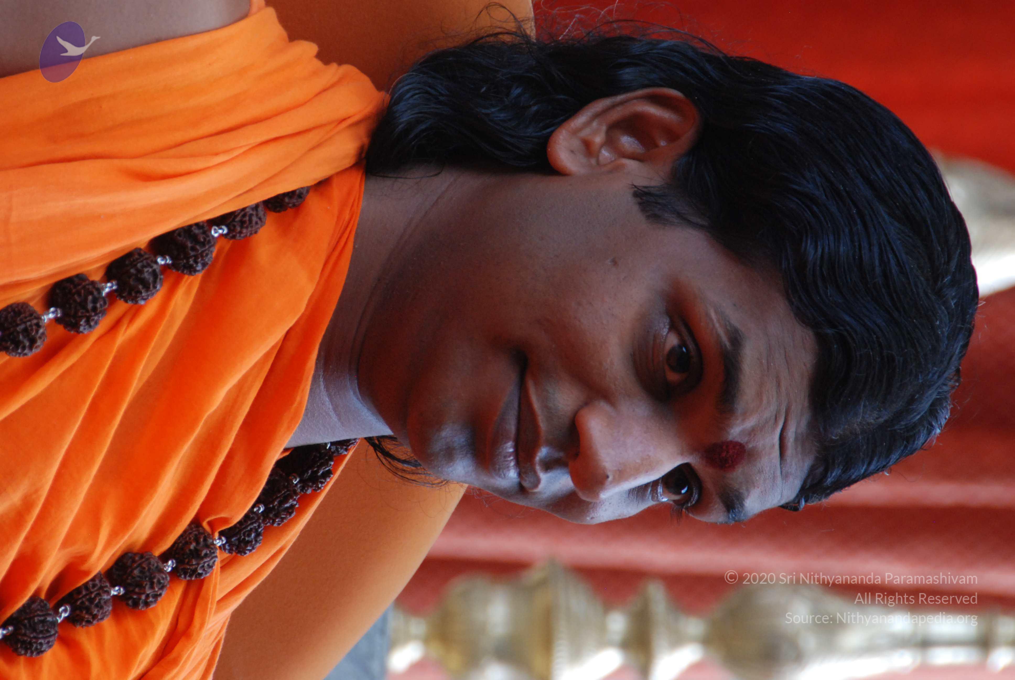 20170720_Photo_1048_DSC_4144_CMP_WM