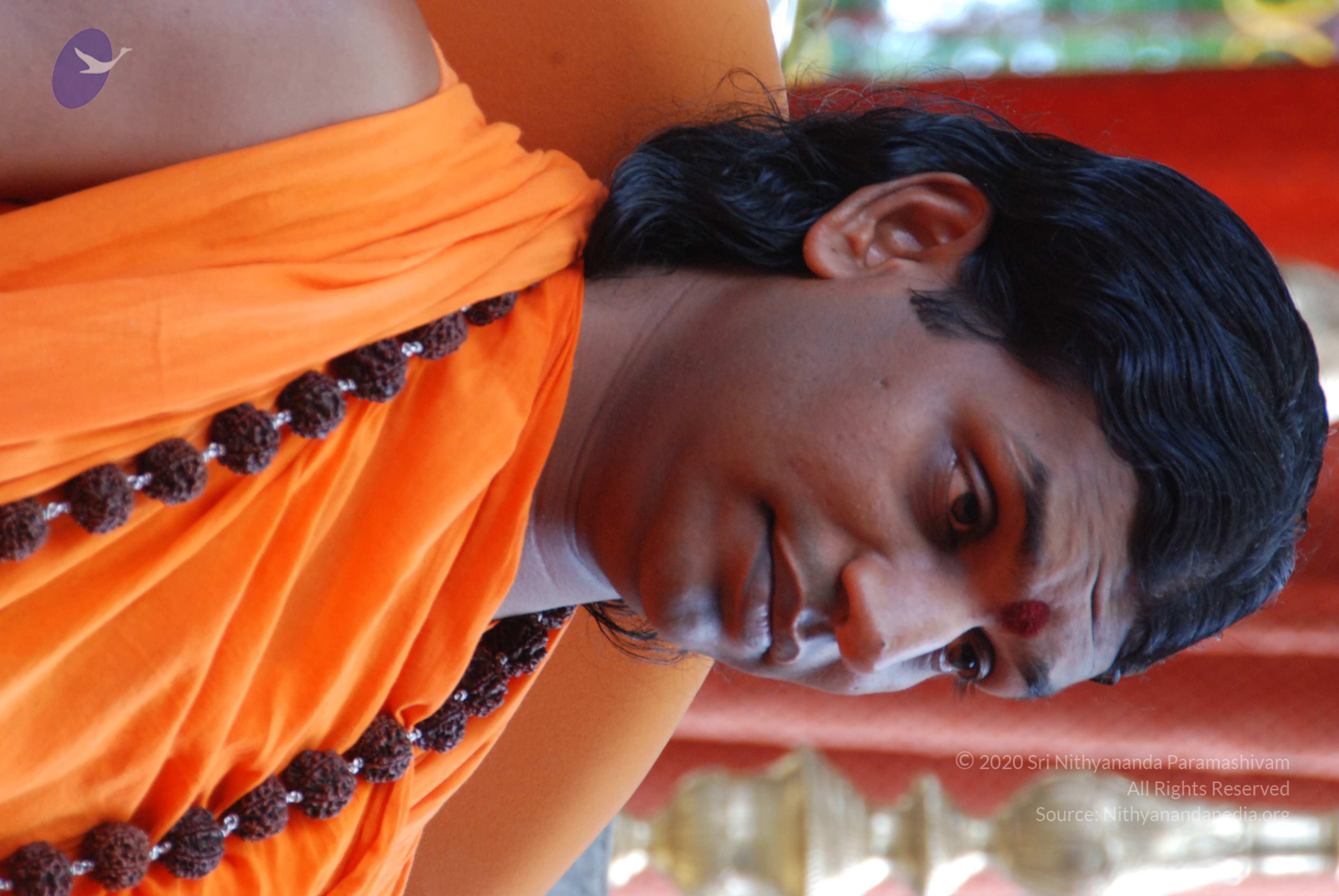 20170720_Photo_1049_DSC_4158_CMP_WM