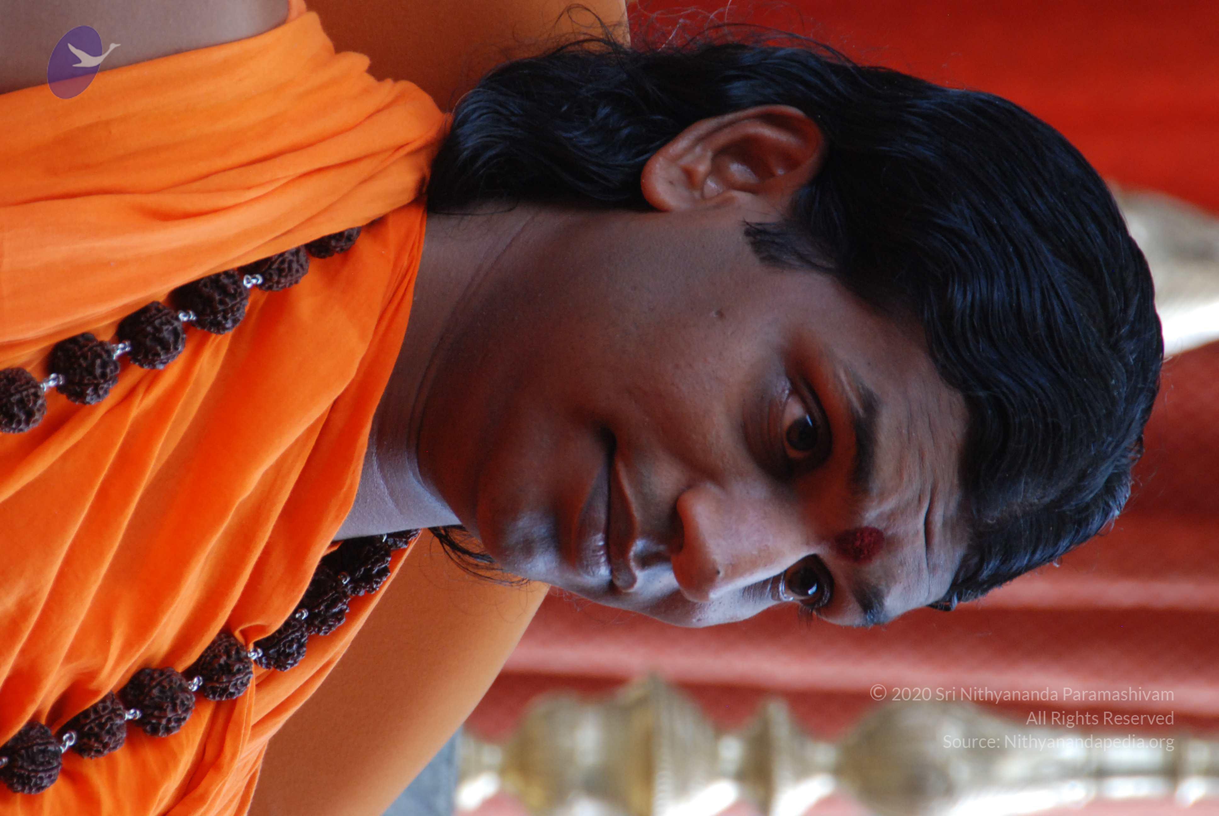 20170720_Photo_1055_DSC_4143_CMP_WM