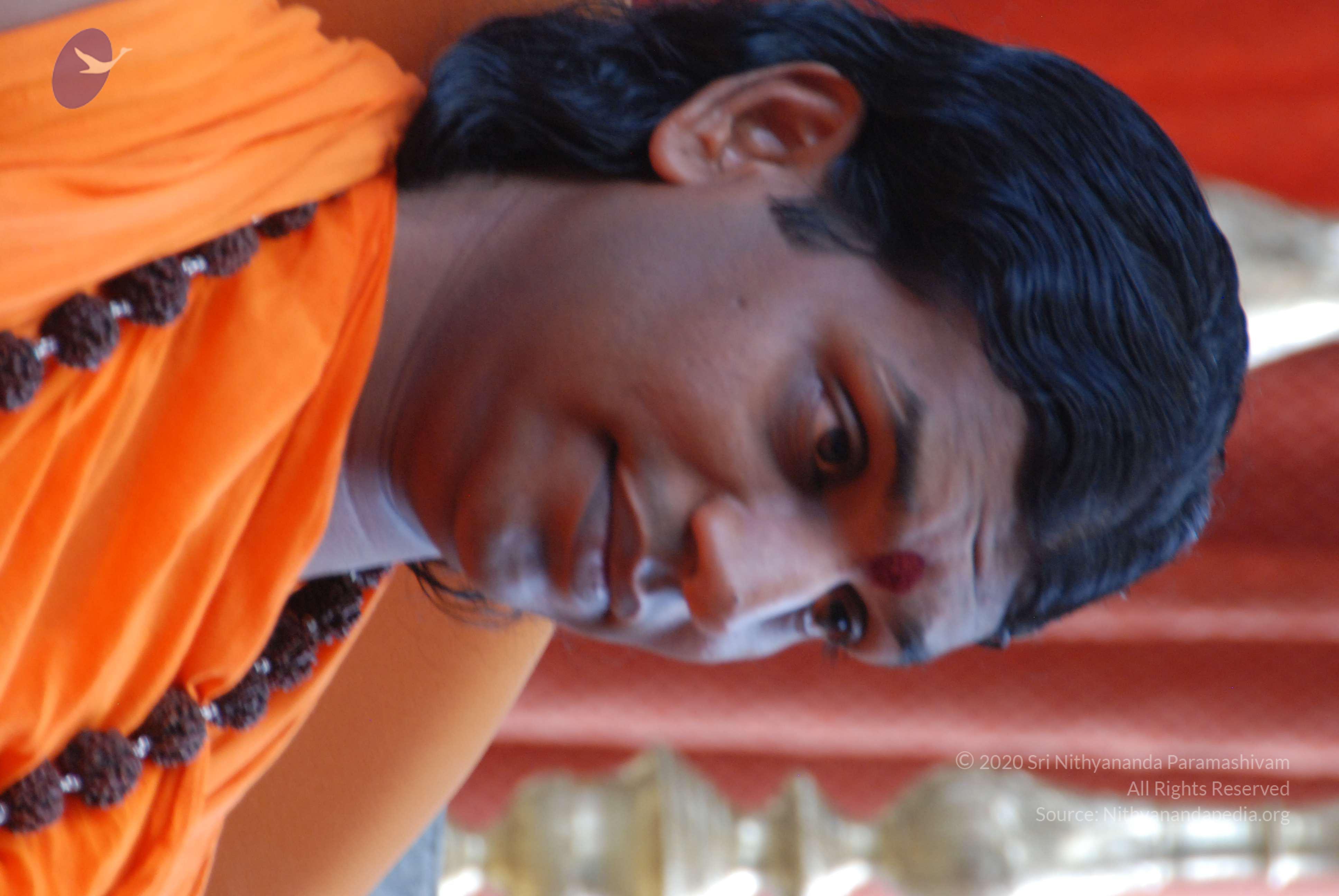 20170720_Photo_1057_DSC_4165_CMP_WM