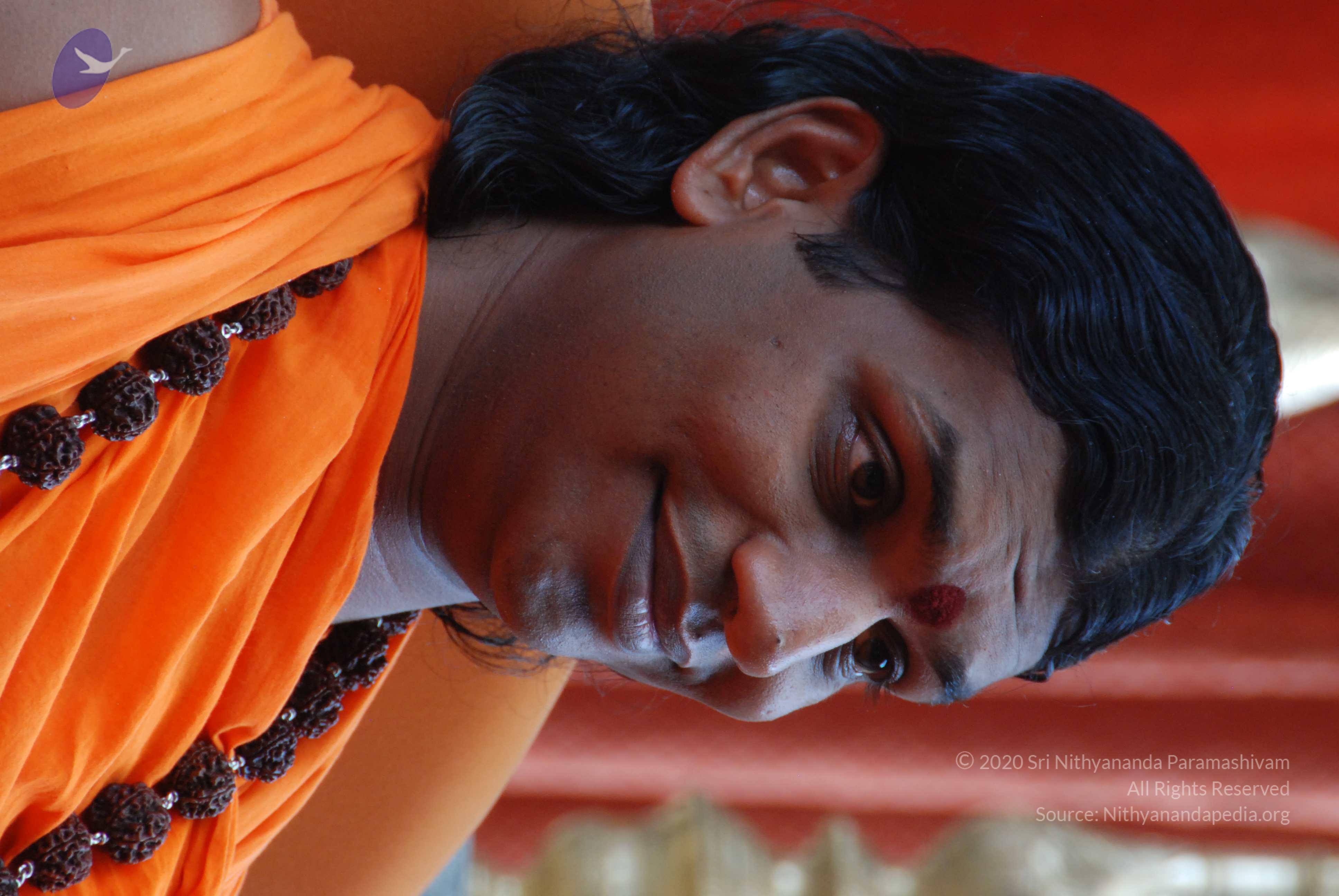 20170720_Photo_1058_DSC_4130_CMP_WM