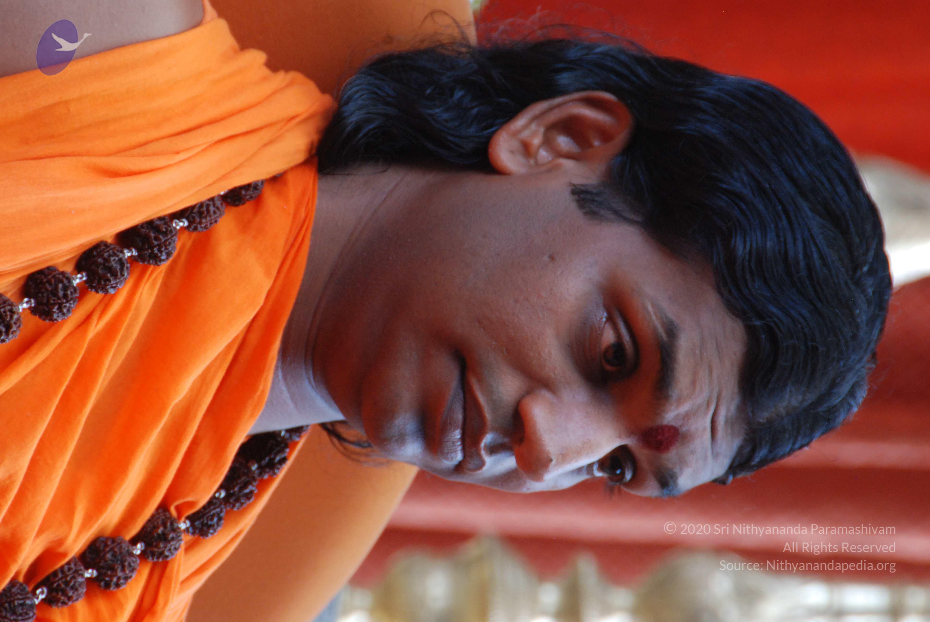 20170720_Photo_1061_DSC_4160_CMP_WM