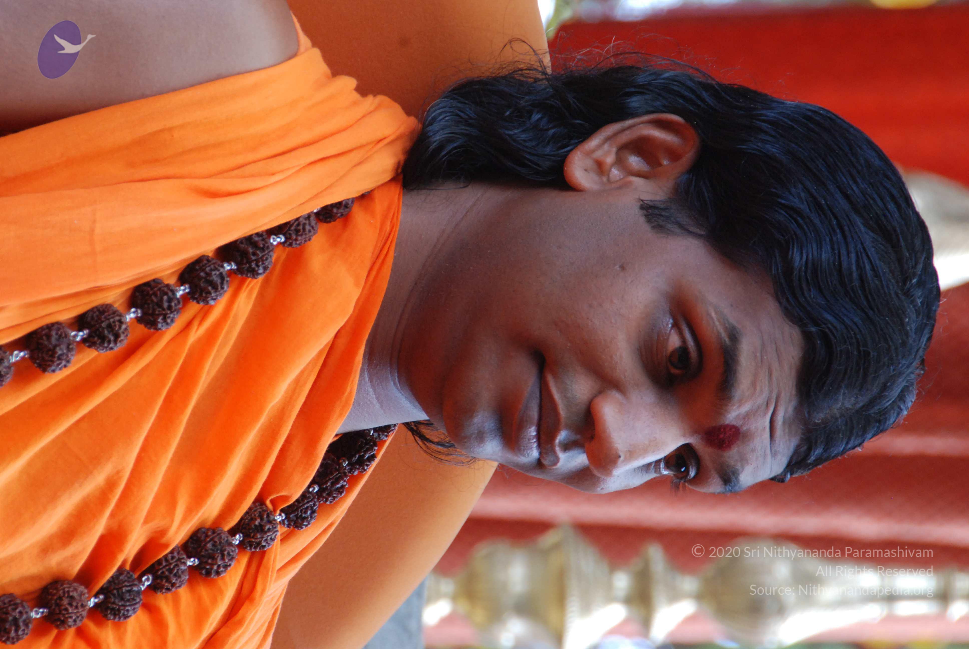 20170720_Photo_1062_DSC_4157_CMP_WM