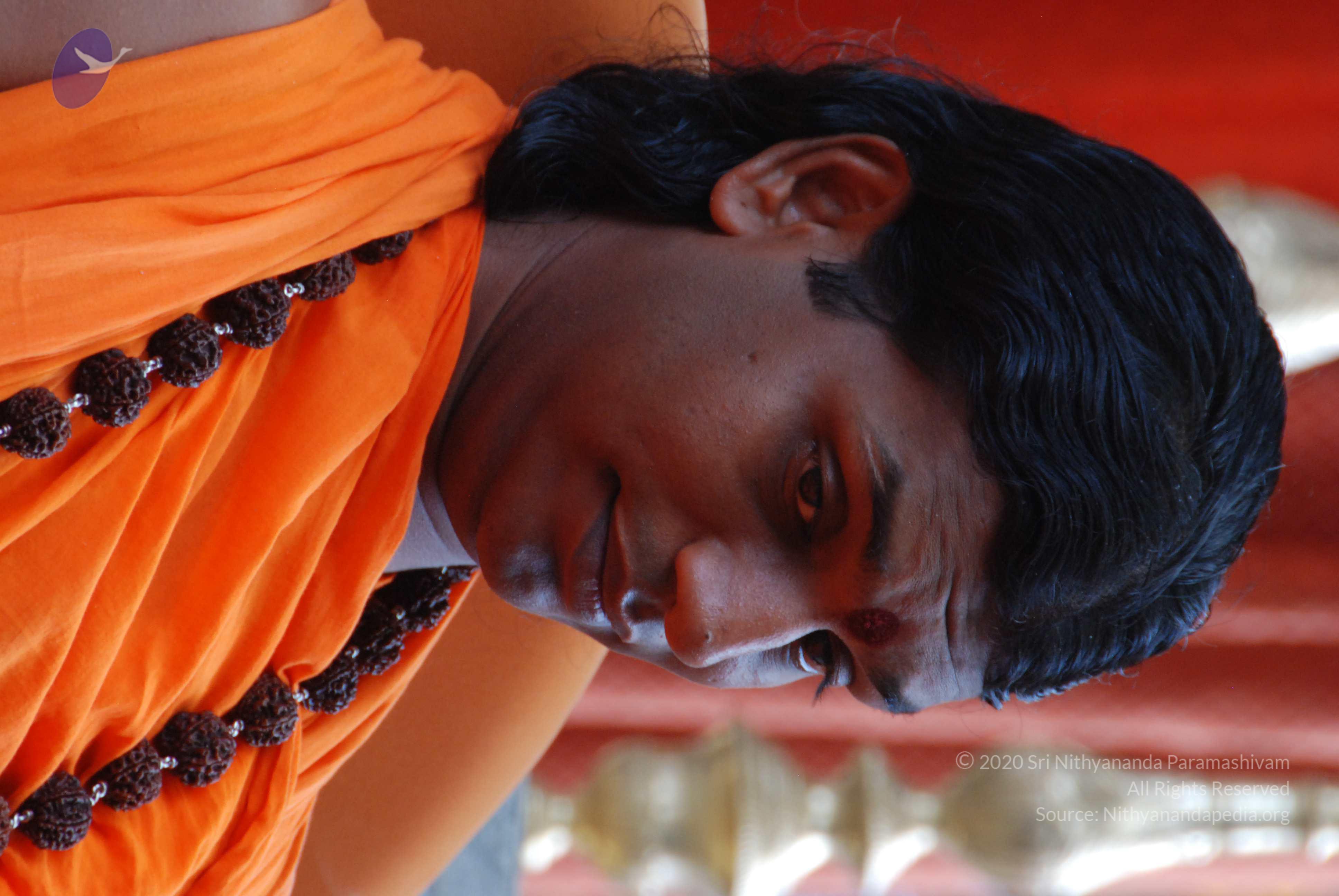 20170720_Photo_1064_DSC_4135_CMP_WM