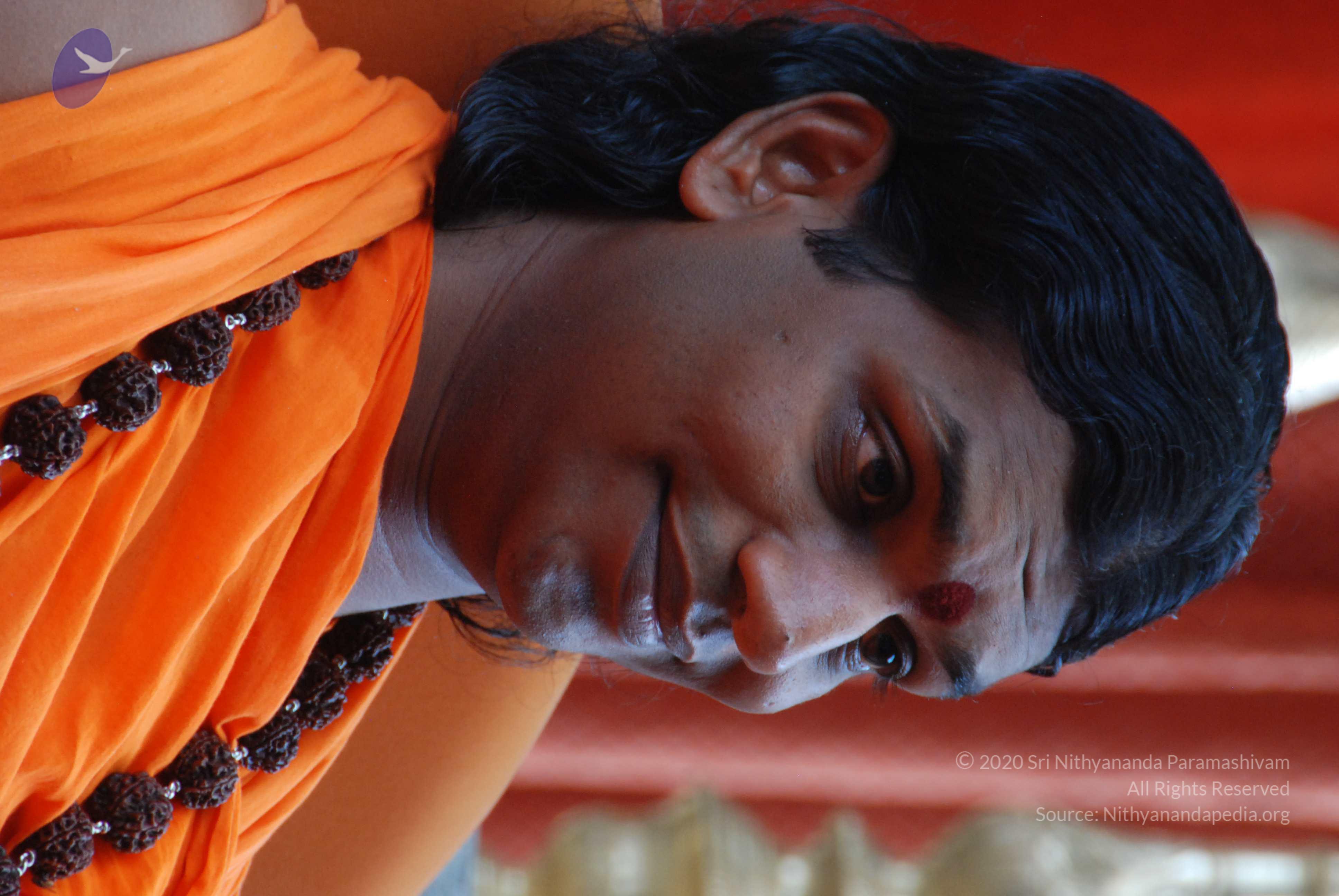 20170720_Photo_1065_DSC_4129_CMP_WM