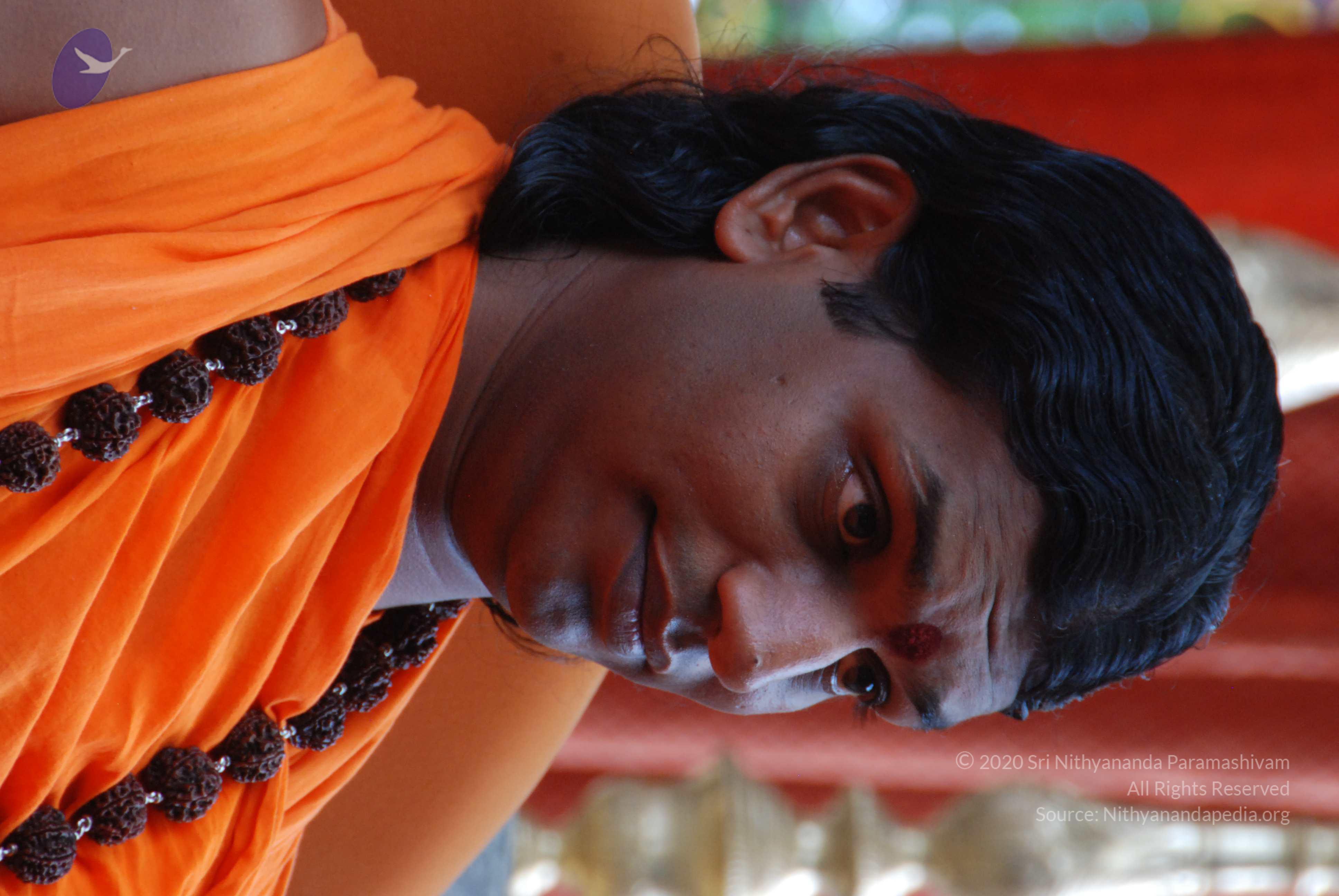 20170720_Photo_1067_DSC_4138_CMP_WM