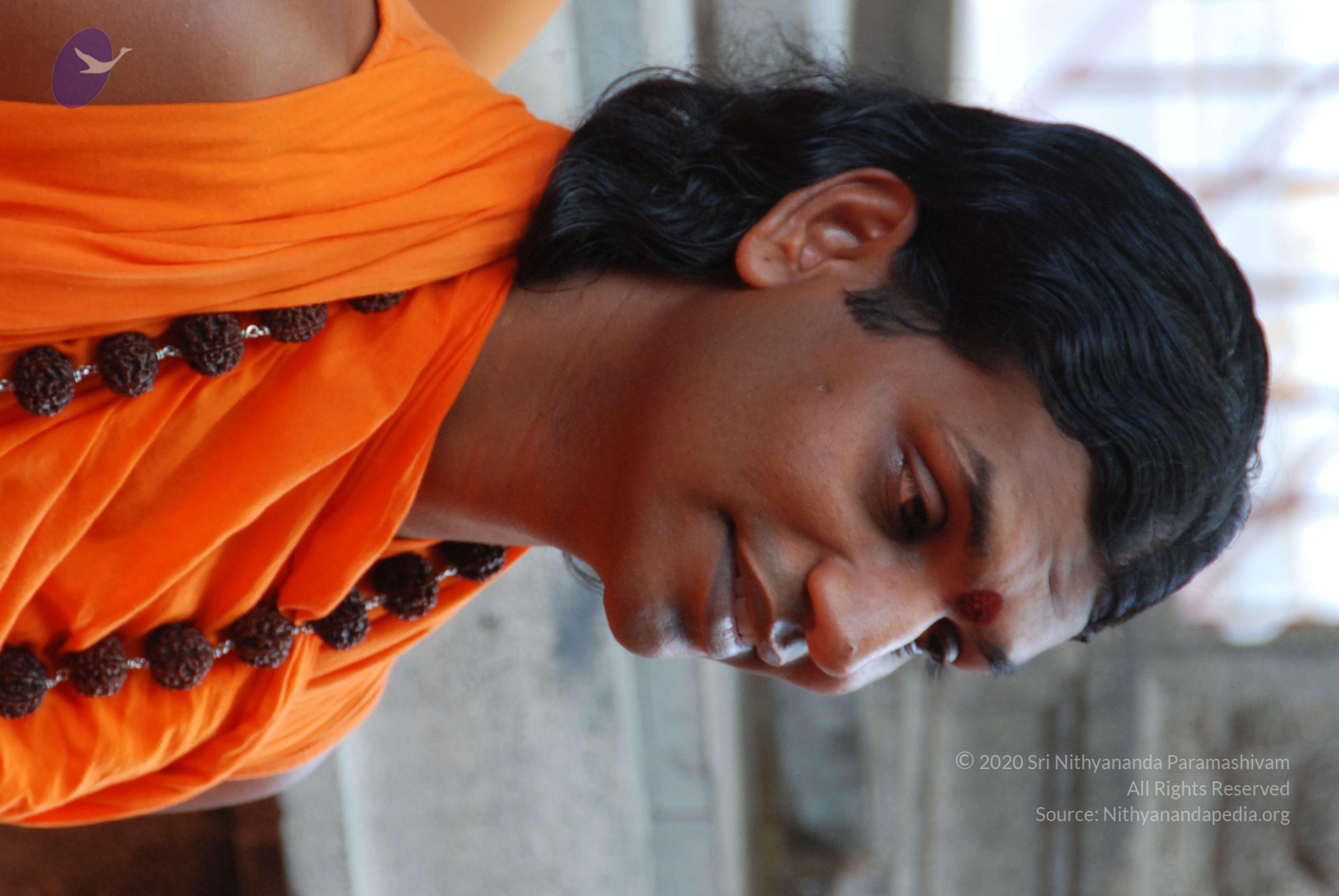 20170720_Photo_1068_DSC_4124_CMP_WM