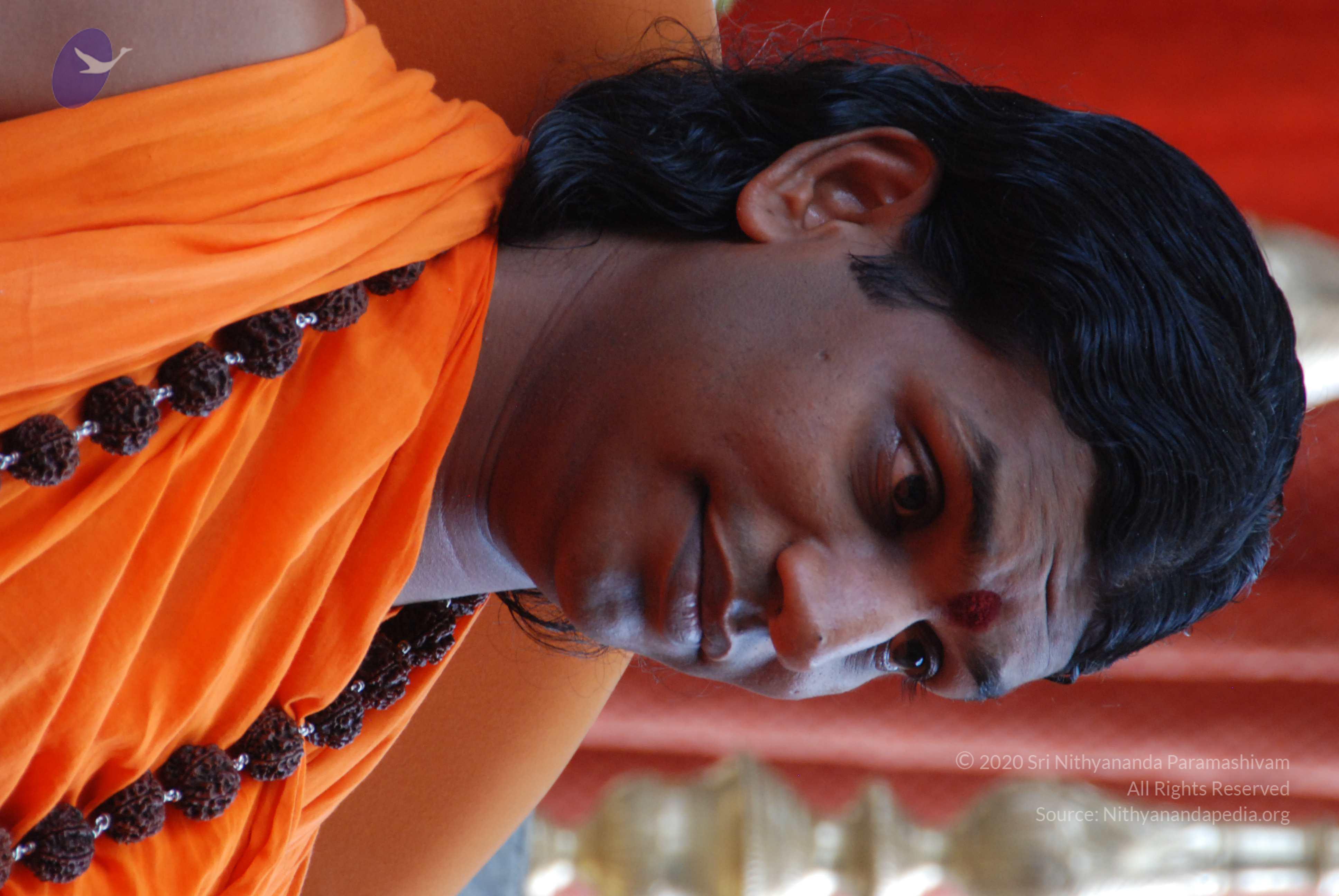 20170720_Photo_1070_DSC_4146_CMP_WM